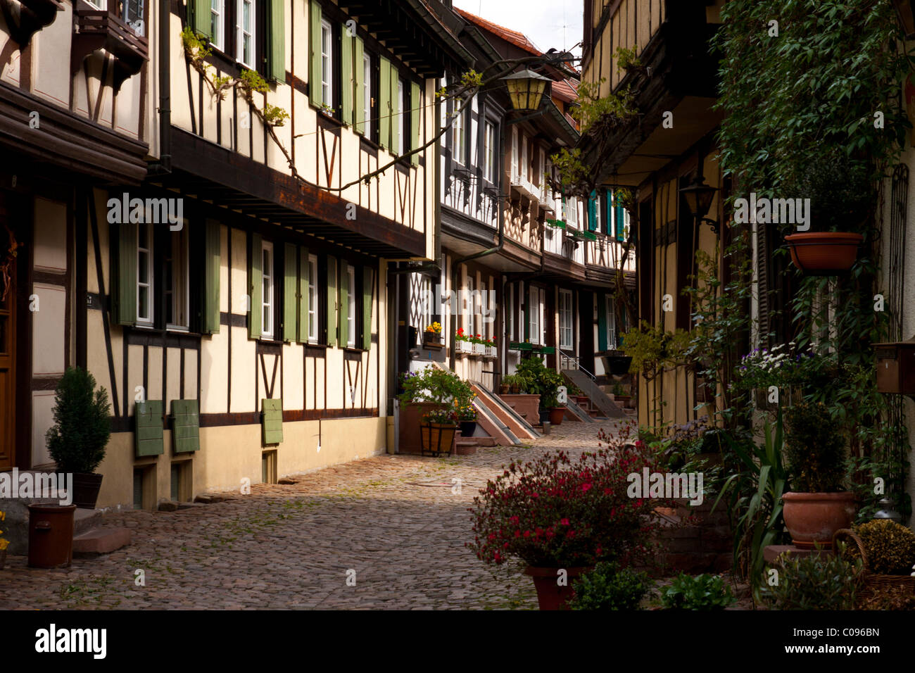 The famous Engelgasse lane with its characteristic half-timbered facades, Gengenbach, Baden-Wuerttemberg, Germany, Europe Stock Photo