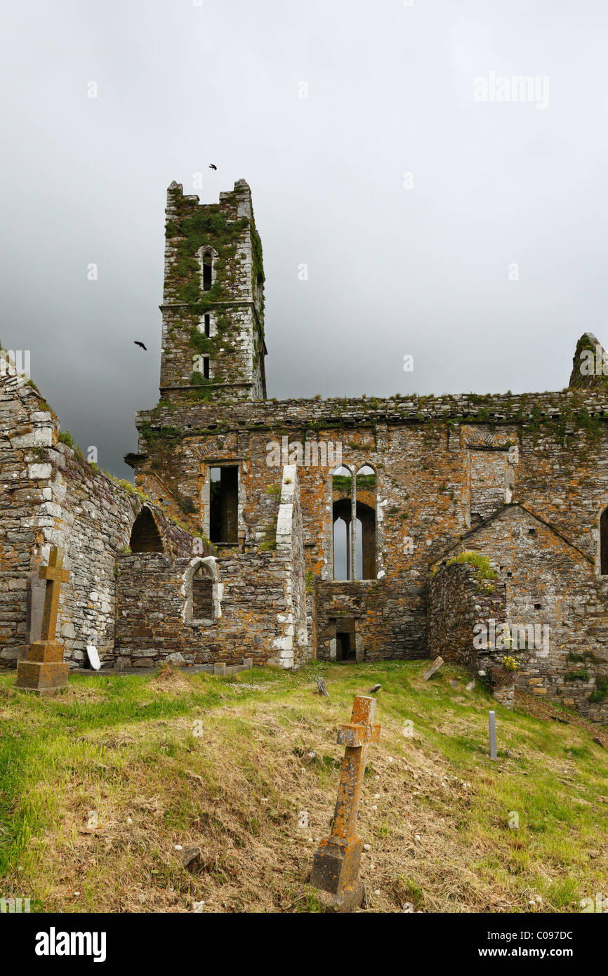 Former Franciscan friary Timoleague, County Cork, Republic of Ireland, British Isles, Europe Stock Photo