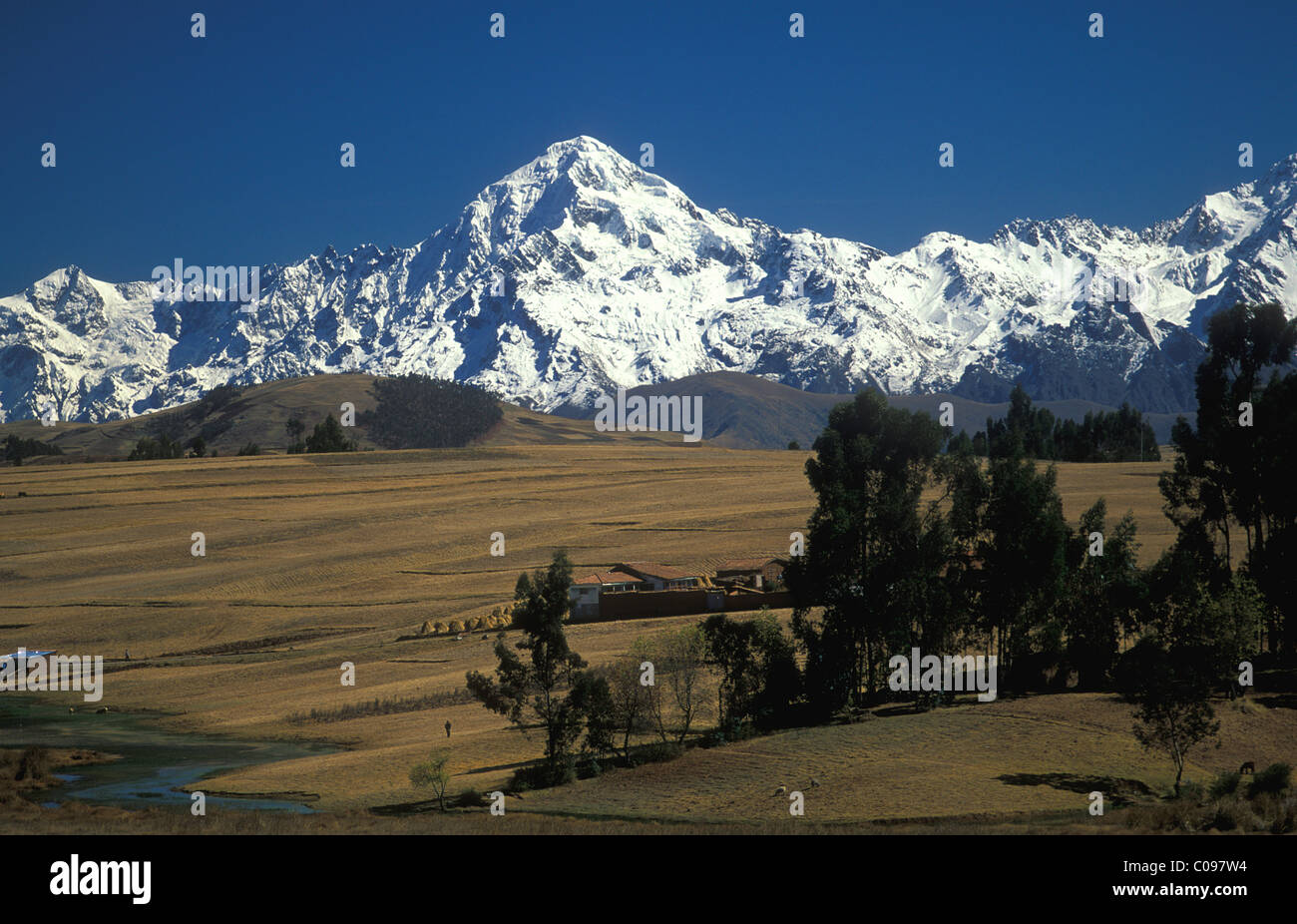 Ongoy - Photo 3