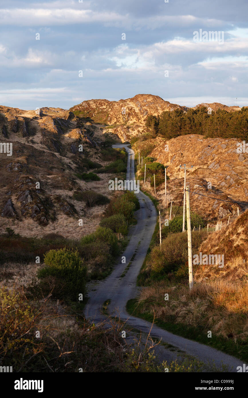 Small road, Beara Peninsula, Cork, Republic of Ireland, British Isles, Europe Stock Photo
