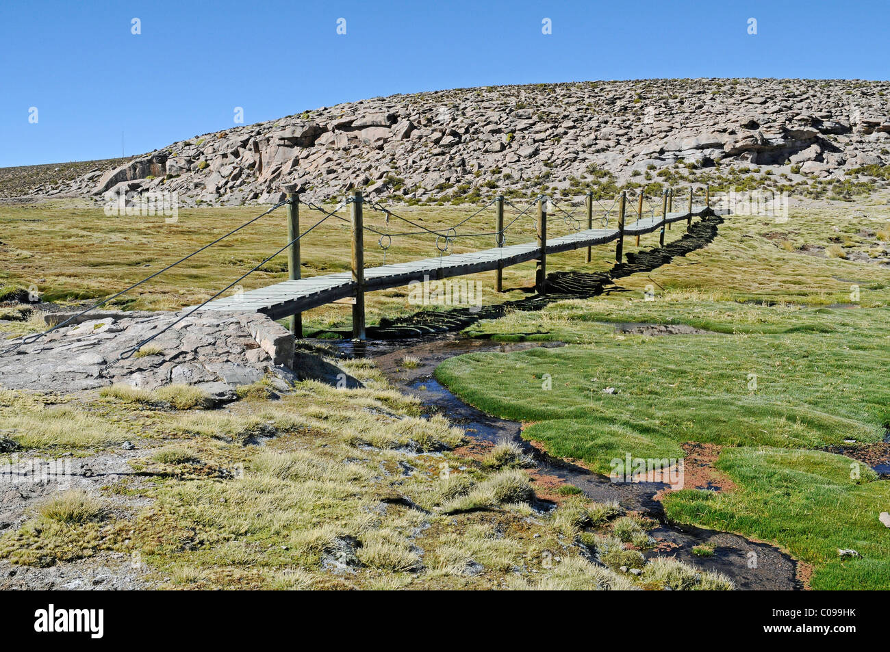 Trail, bridge, water, vegetation, mountains, Las Cuevas caves, Conaf Station, Lauca National Park, Altiplano, Norte Grande Stock Photo