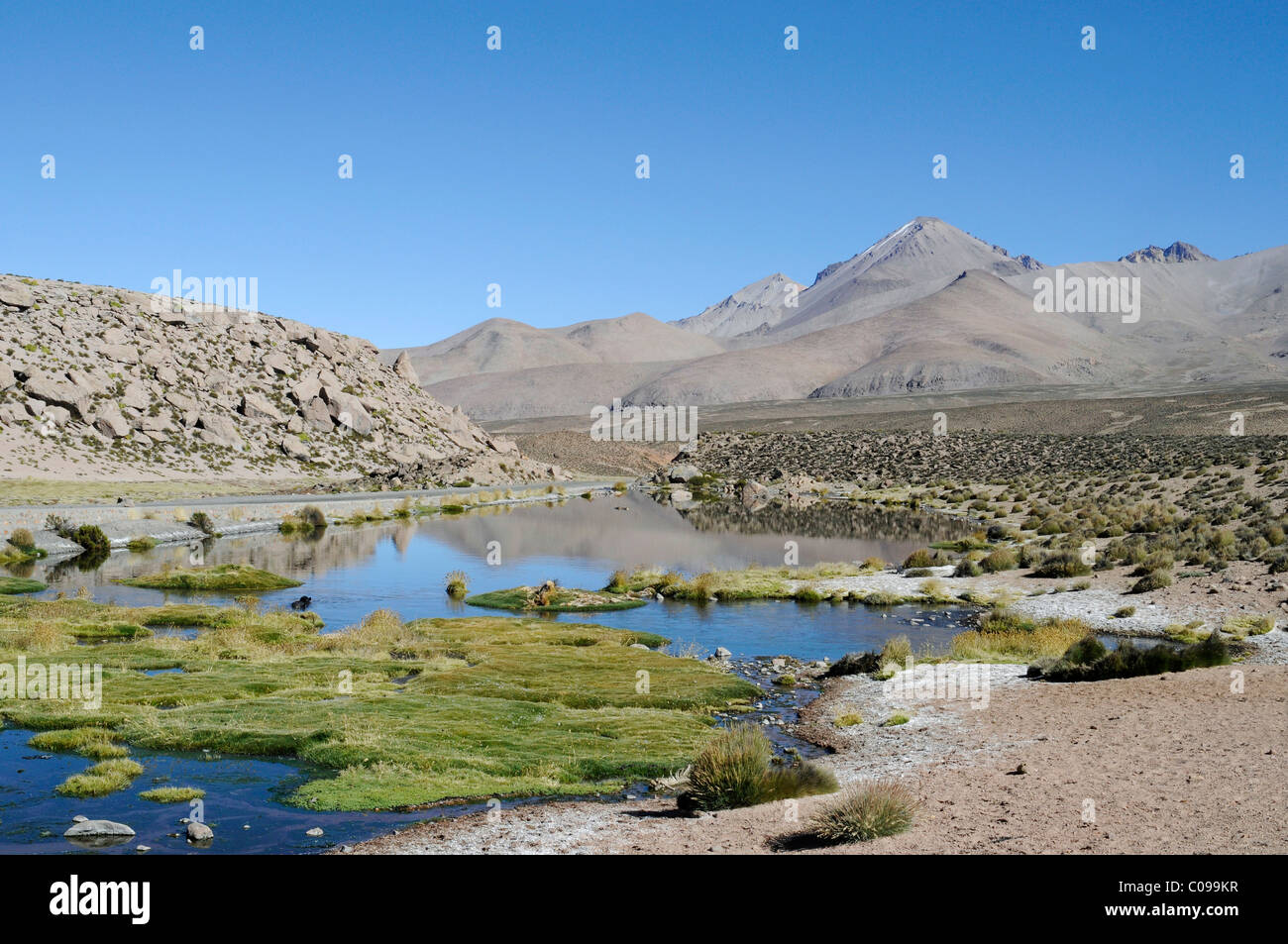Water, vegetation, mountains, Las Cuevas caves, Conaf Station, Lauca National Park, Altiplano, Norte Grande, Northern Chile Stock Photo
