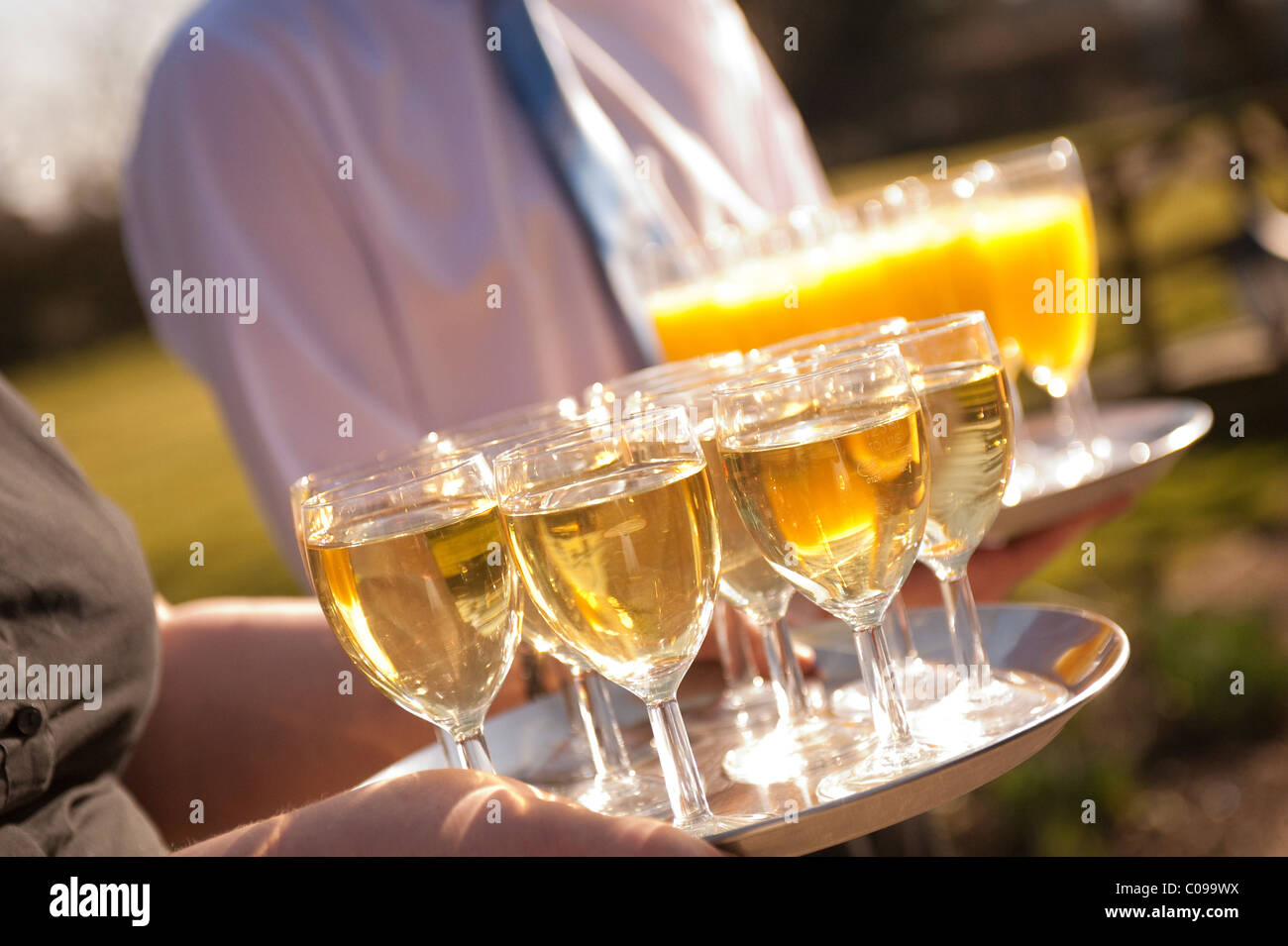Waiter and waitress serving glasses of wine and orange juice on silver trays at a function Stock Photo