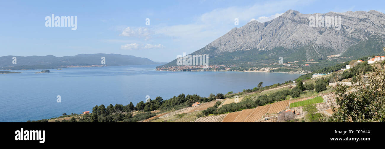 View into the Bay of Orebic, Peljesac peninsula, Croatia, Europe Stock Photo
