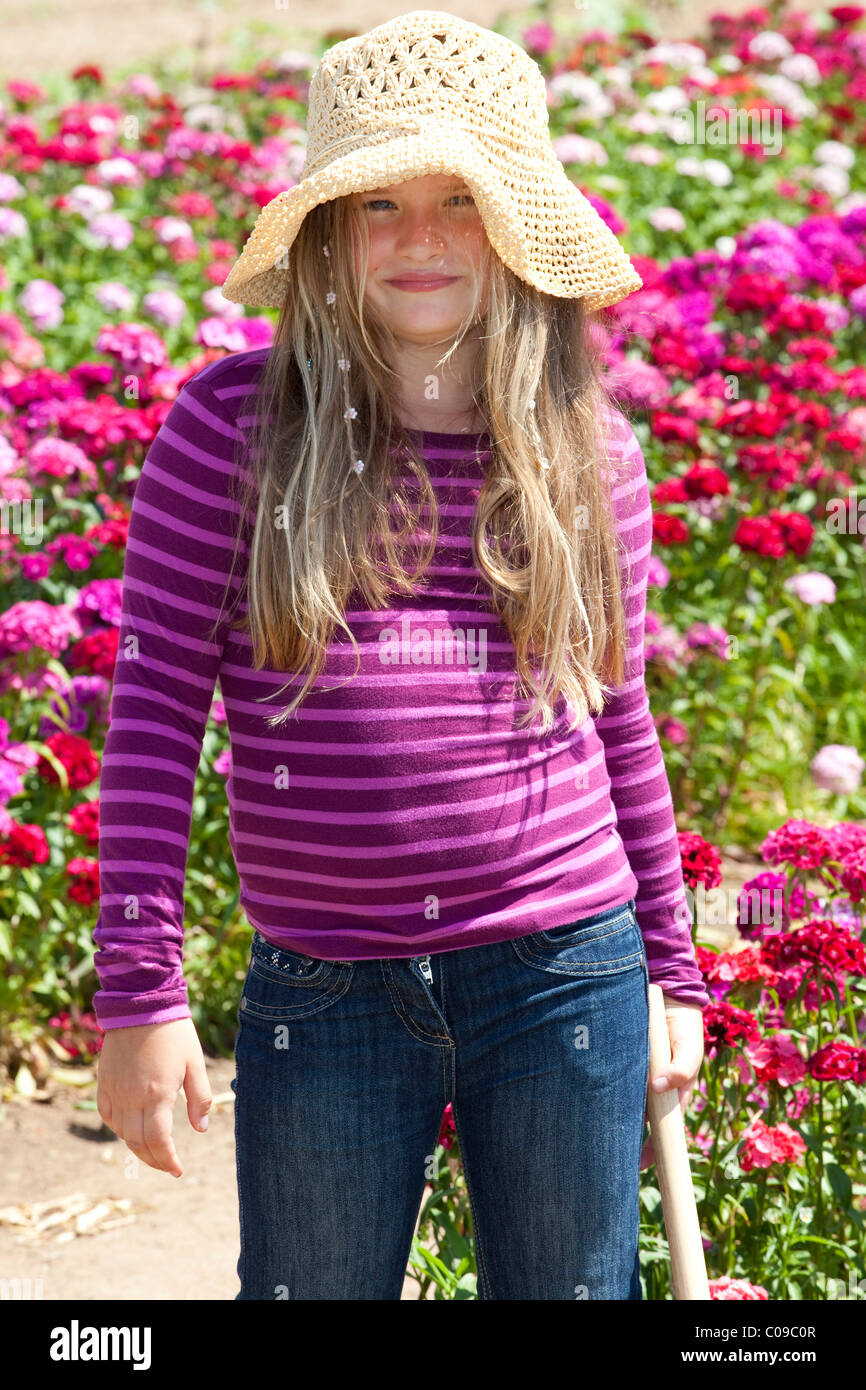 Girl, 8 years old, standing at a field of Sweet William carnations Stock Photo