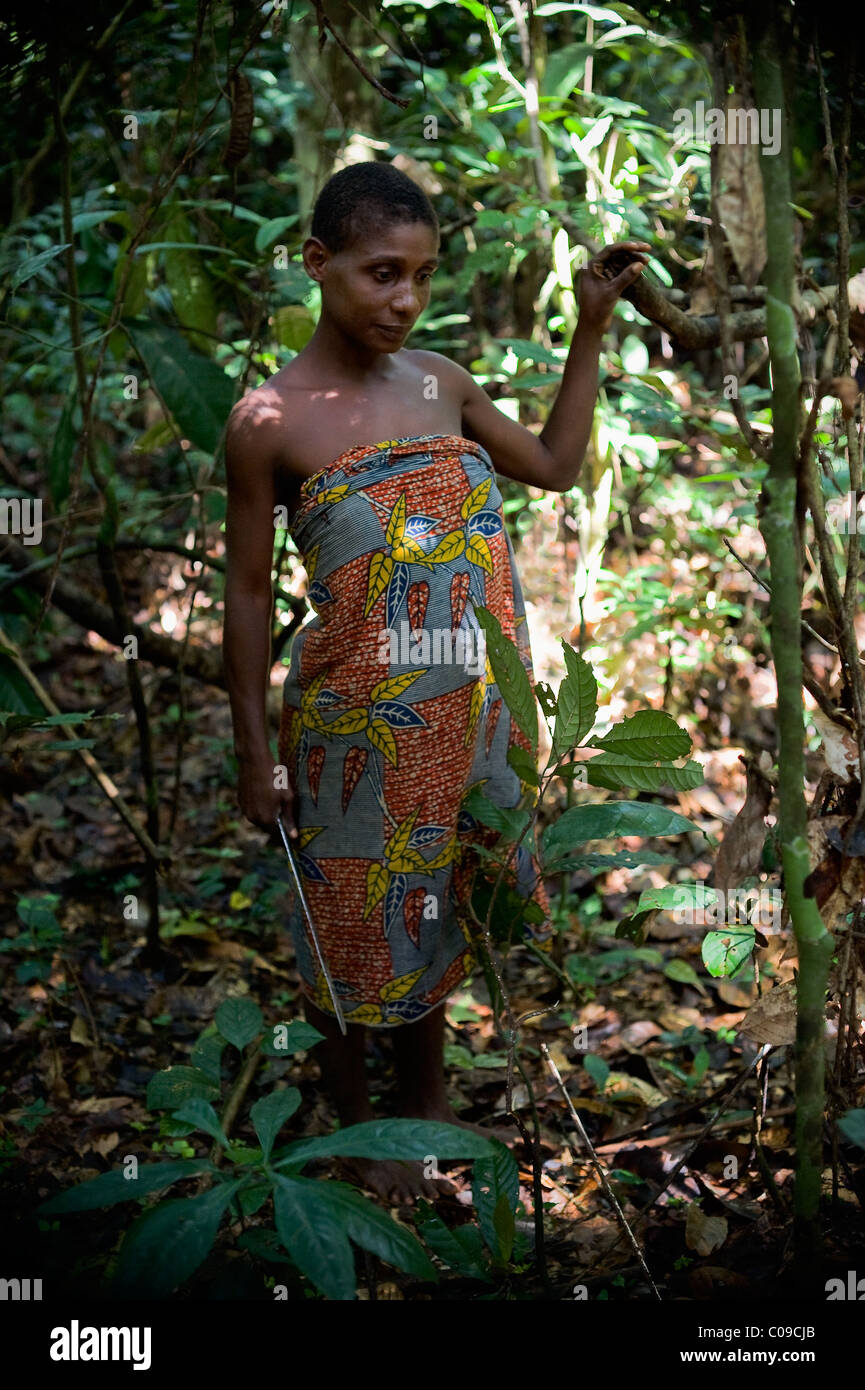 Baka woman in jungle. Stock Photo