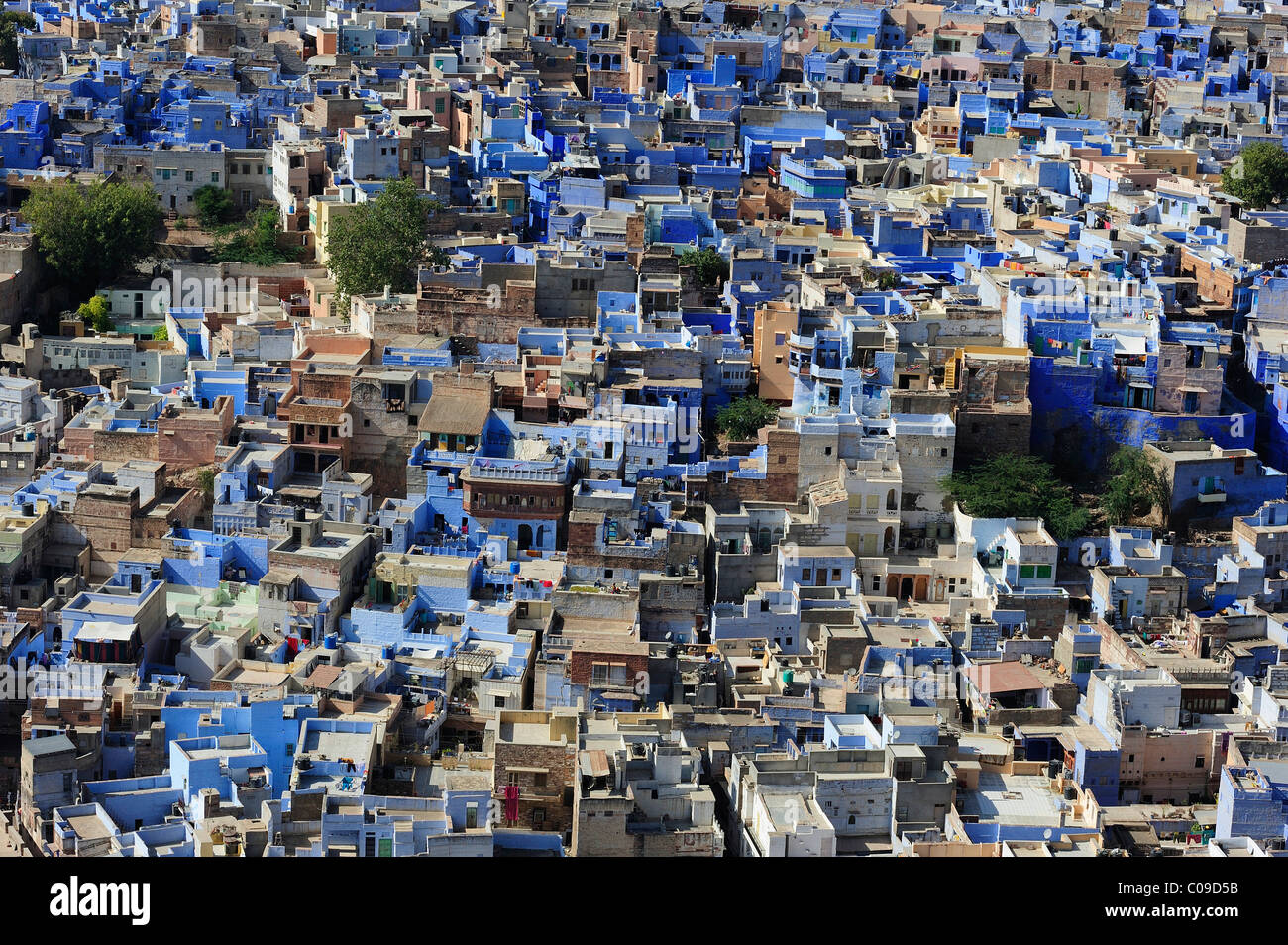 Brahmapuri, Blue City, settlement of Brahmins, district of Jodhpur, Rajasthan, India, Asia Stock Photo