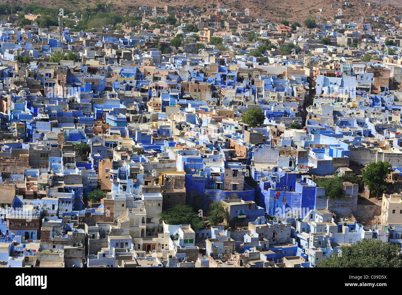 Brahmapuri, Blue City, settlement of Brahmins, district of Jodhpur, Rajasthan, India, Asia Stock Photo