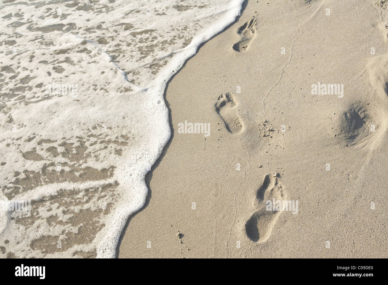 Footprints In Wet Sand Stock Photo Alamy