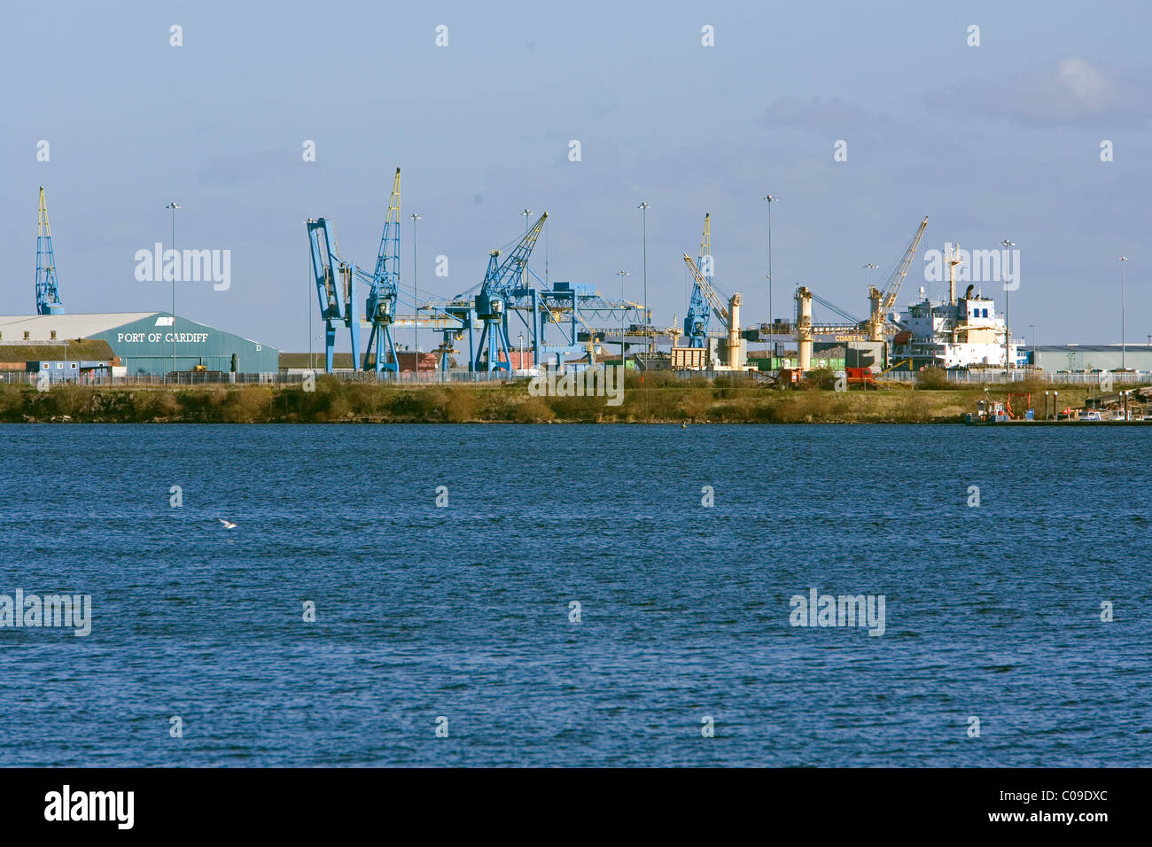 Cranes and derricks in the port of Cardiff Stock Photo Alamy