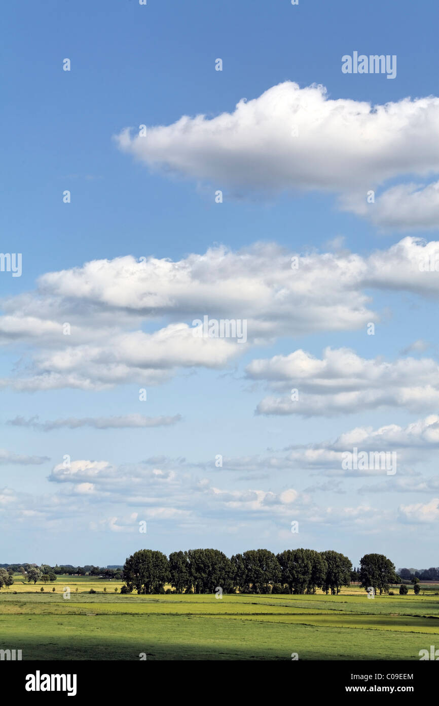 Wide, green land with an unobstructed horizon, fair weather clouds, Niederrhein region at Kleve, North Rhine-Westphalia Stock Photo