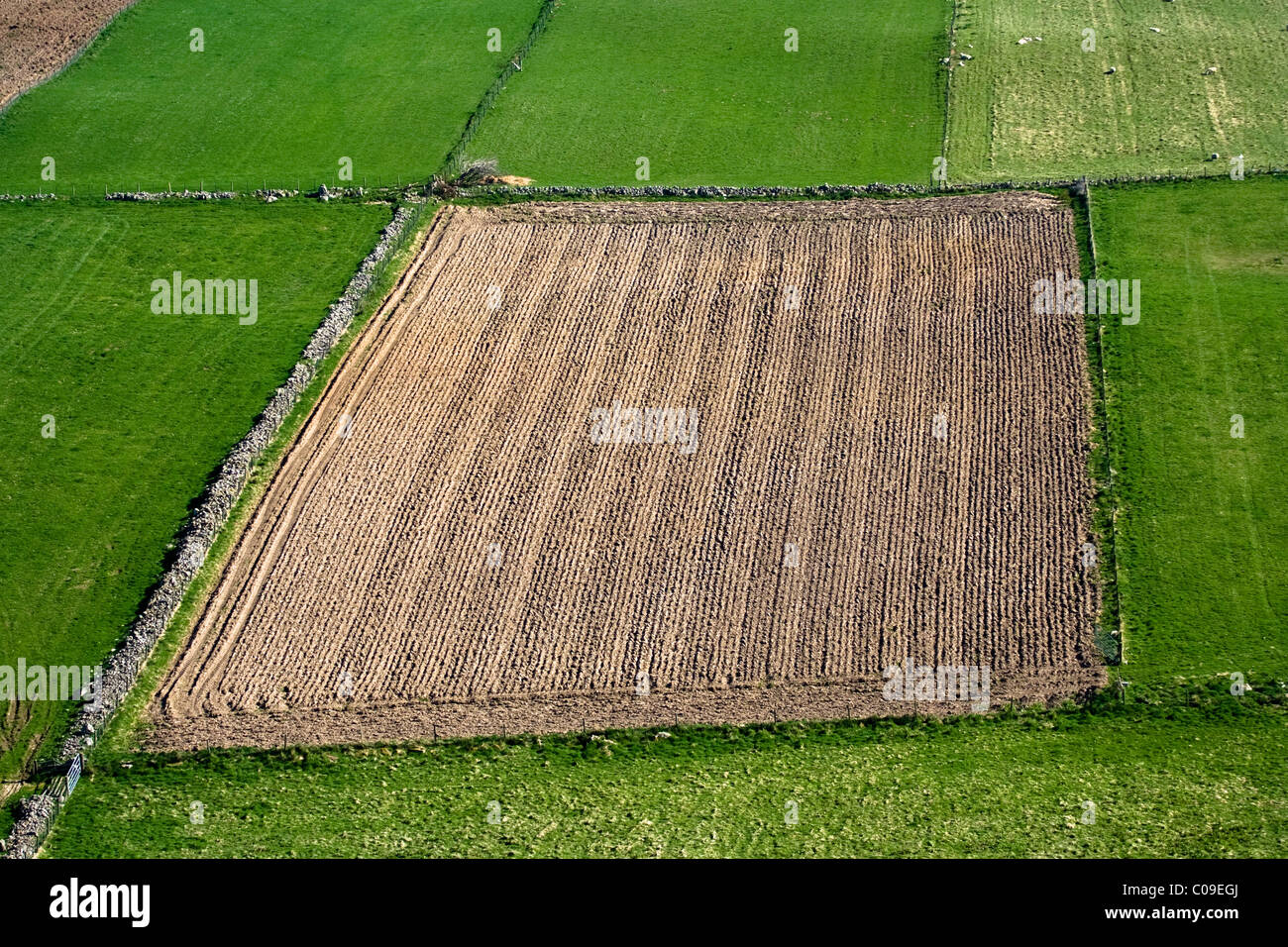 Ploughed field Knockfarrel, Easter Ross, Scotland Stock Photo