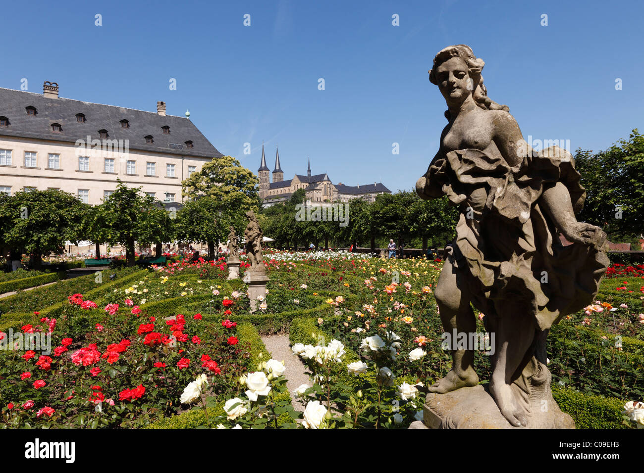 Rose garden of the Neue Residenz, New Residence, church of St. Michael, Bamberg, Upper Franconia, Franconia, Bavaria Stock Photo