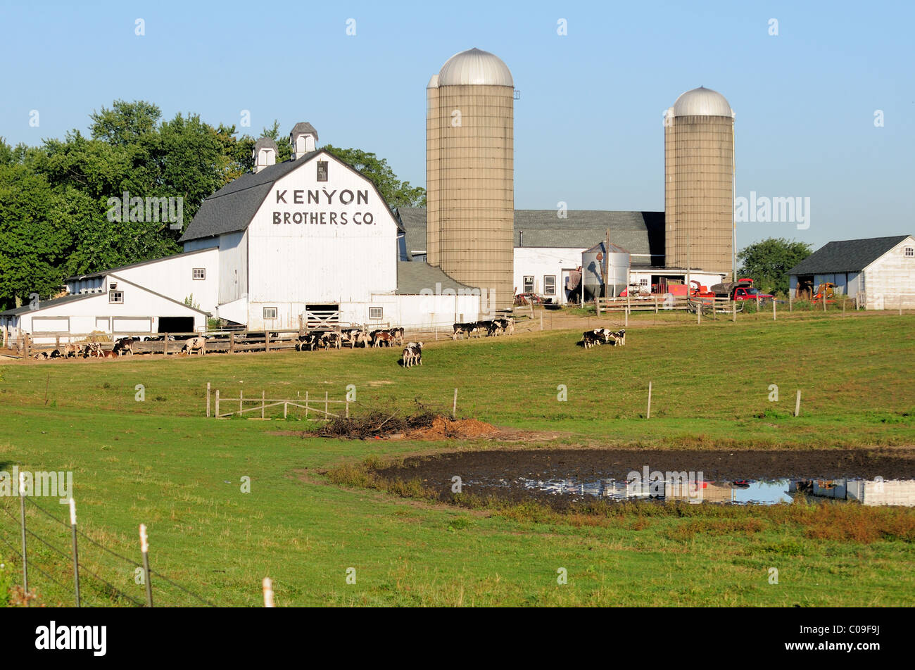 A dairy farm in Illinois reflects in the morning sun. South Elgin, Illinois, USA. Stock Photo