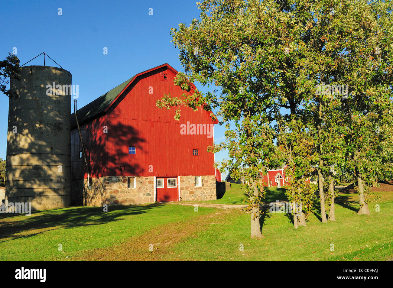 Hampshire, Illinois, USA. A large red barn built on a stone foundation basks in the late afternoon, autumn sun. Stock Photo