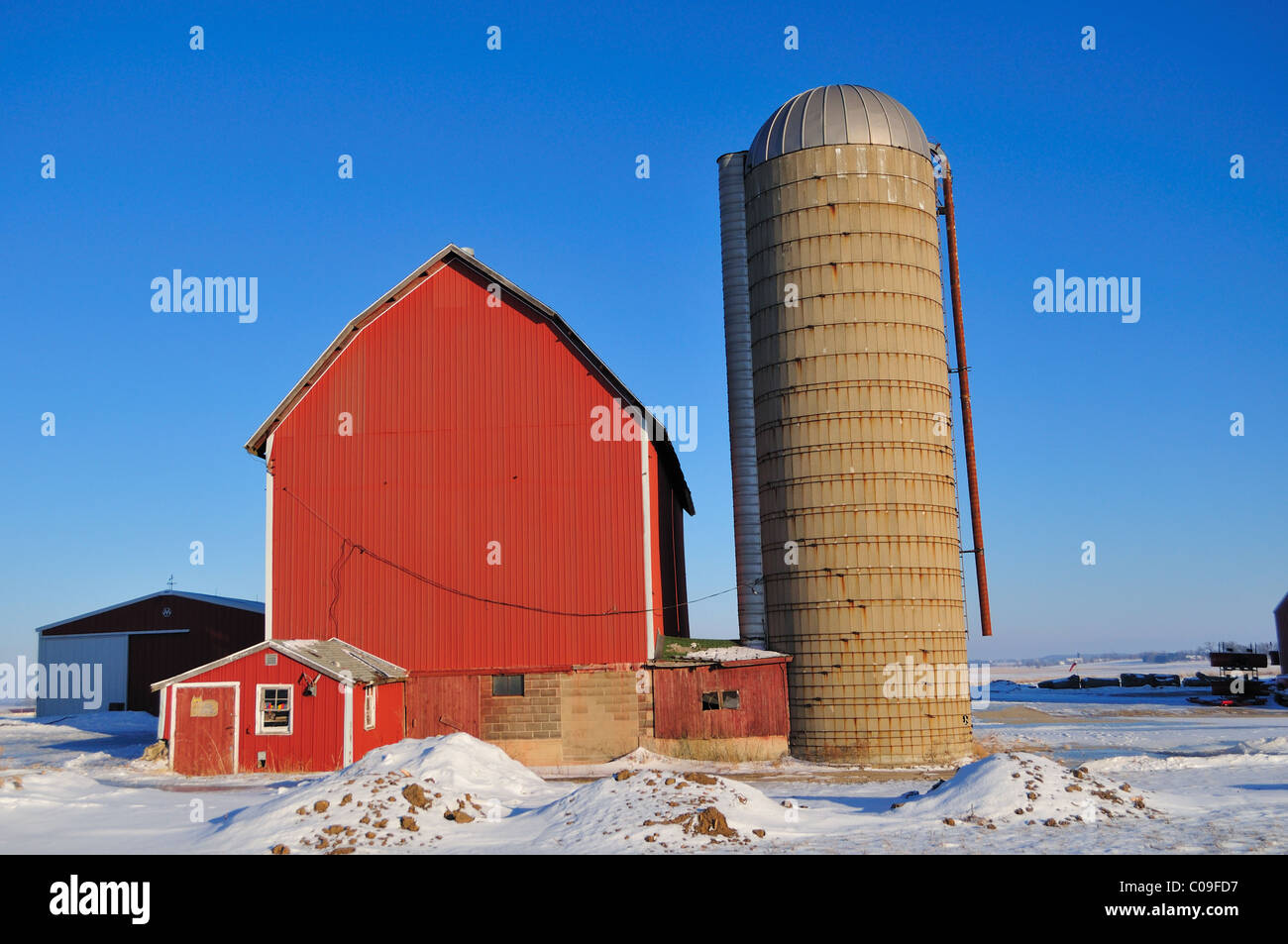 Sycamore, Illinois, USA. A red barn with leaning silos in the midst of an Illinois winter and a cold, clear afternoon. Stock Photo