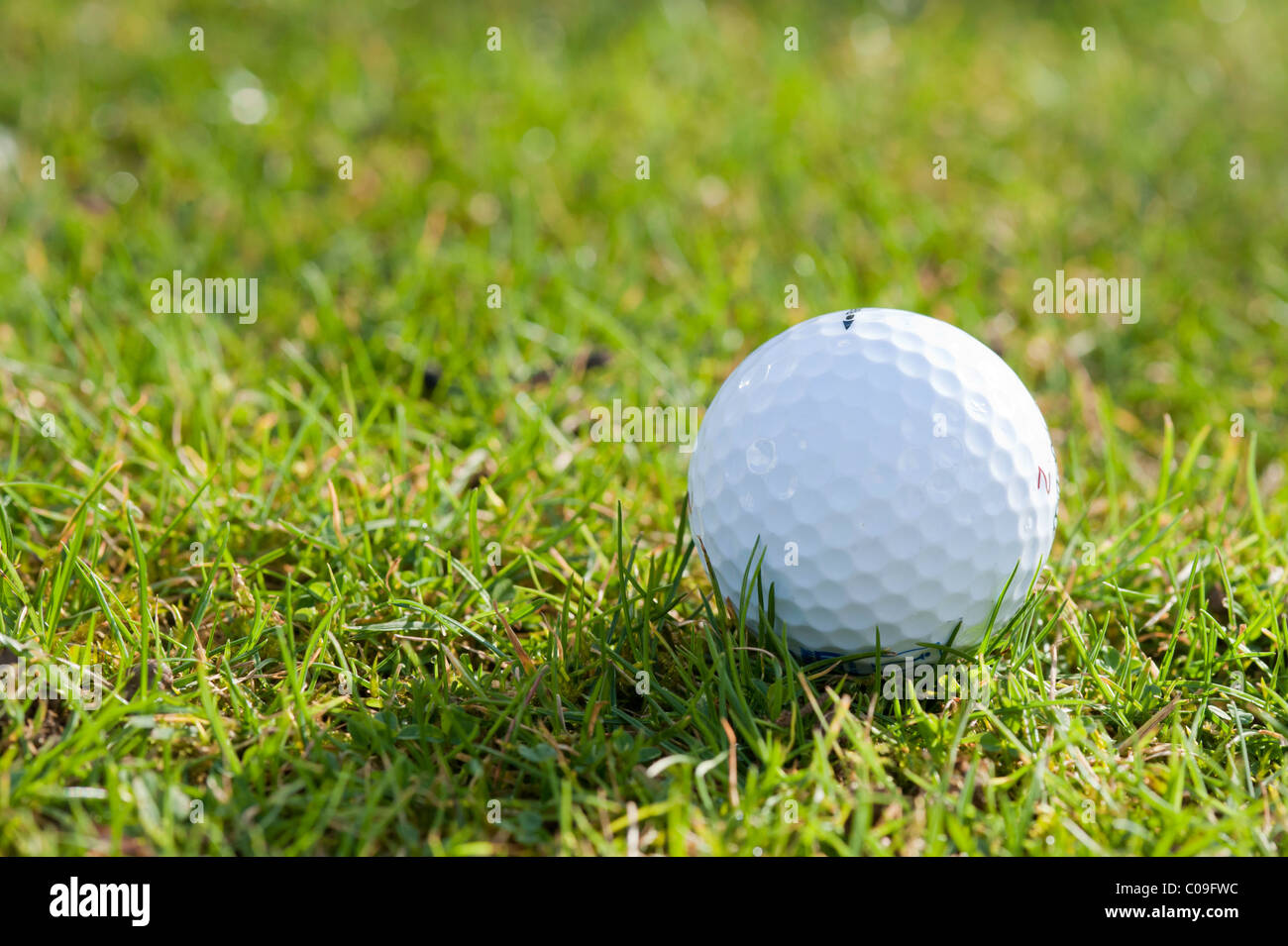 A golf ball on the fairway in sunshine. Stock Photo