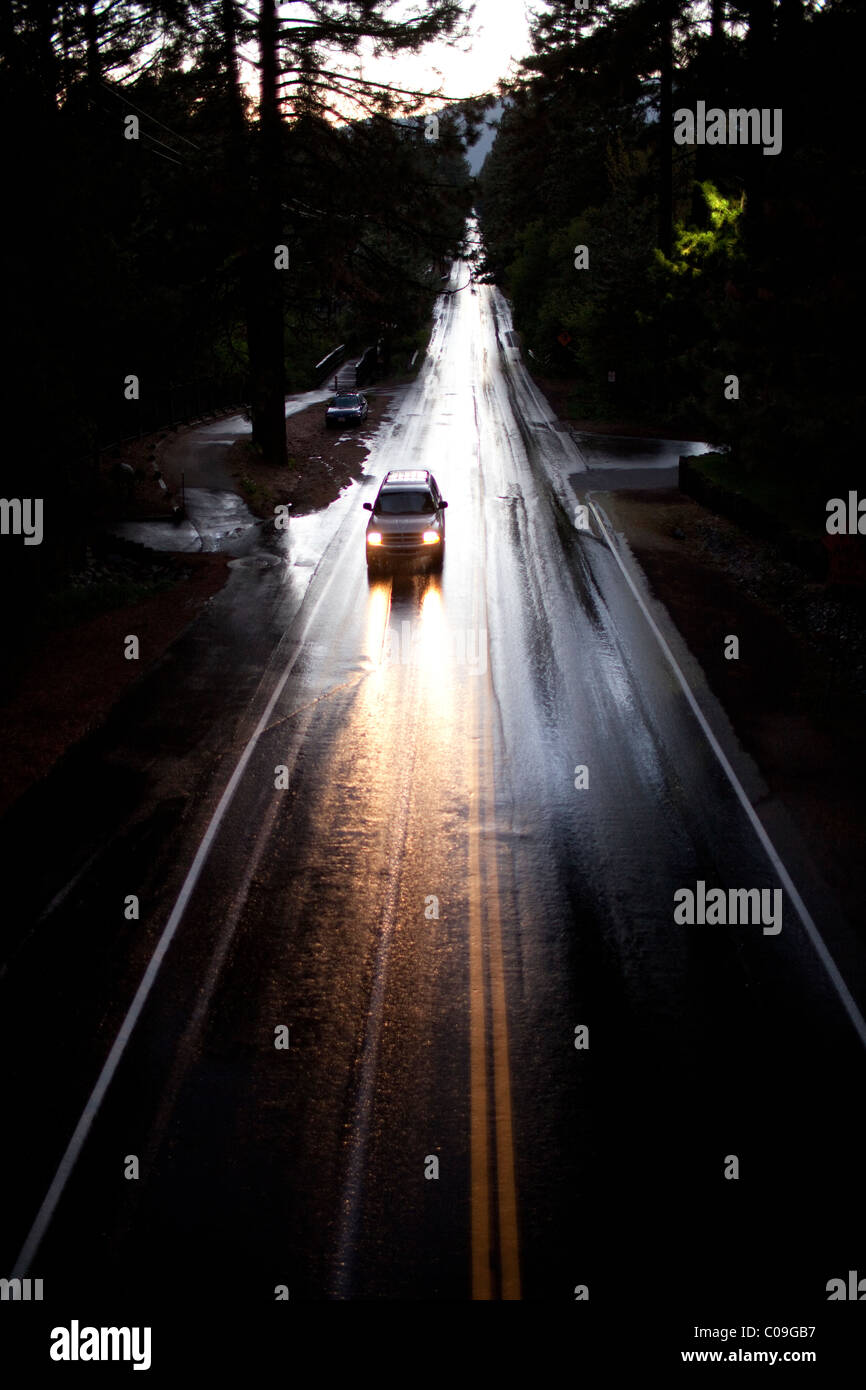 Car drives on rain-slick road in heavily wooded area of Incline Village, Nevada, USA Stock Photo
