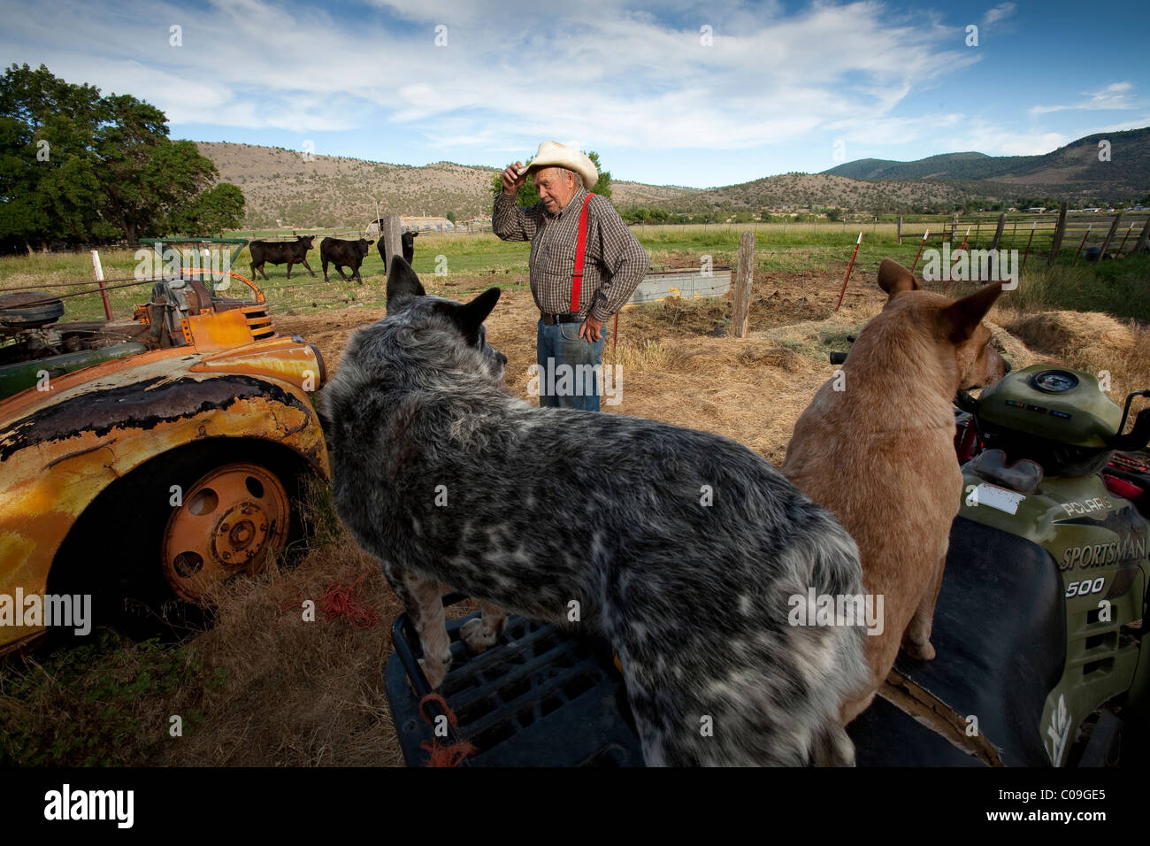 A rancher on his land in Southern Orregon Stock Photo - Alamy