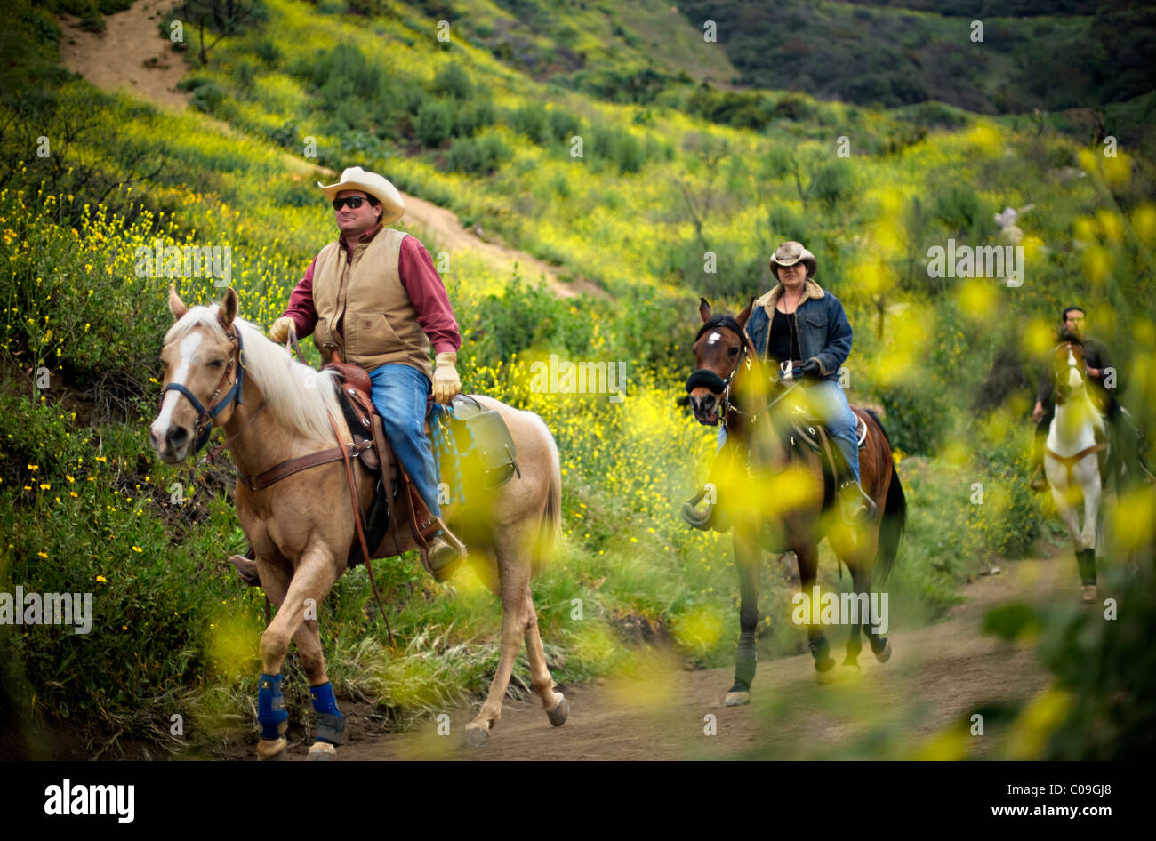 Riders On Horseback Make Their Way Along A Trail Lined With Blooming