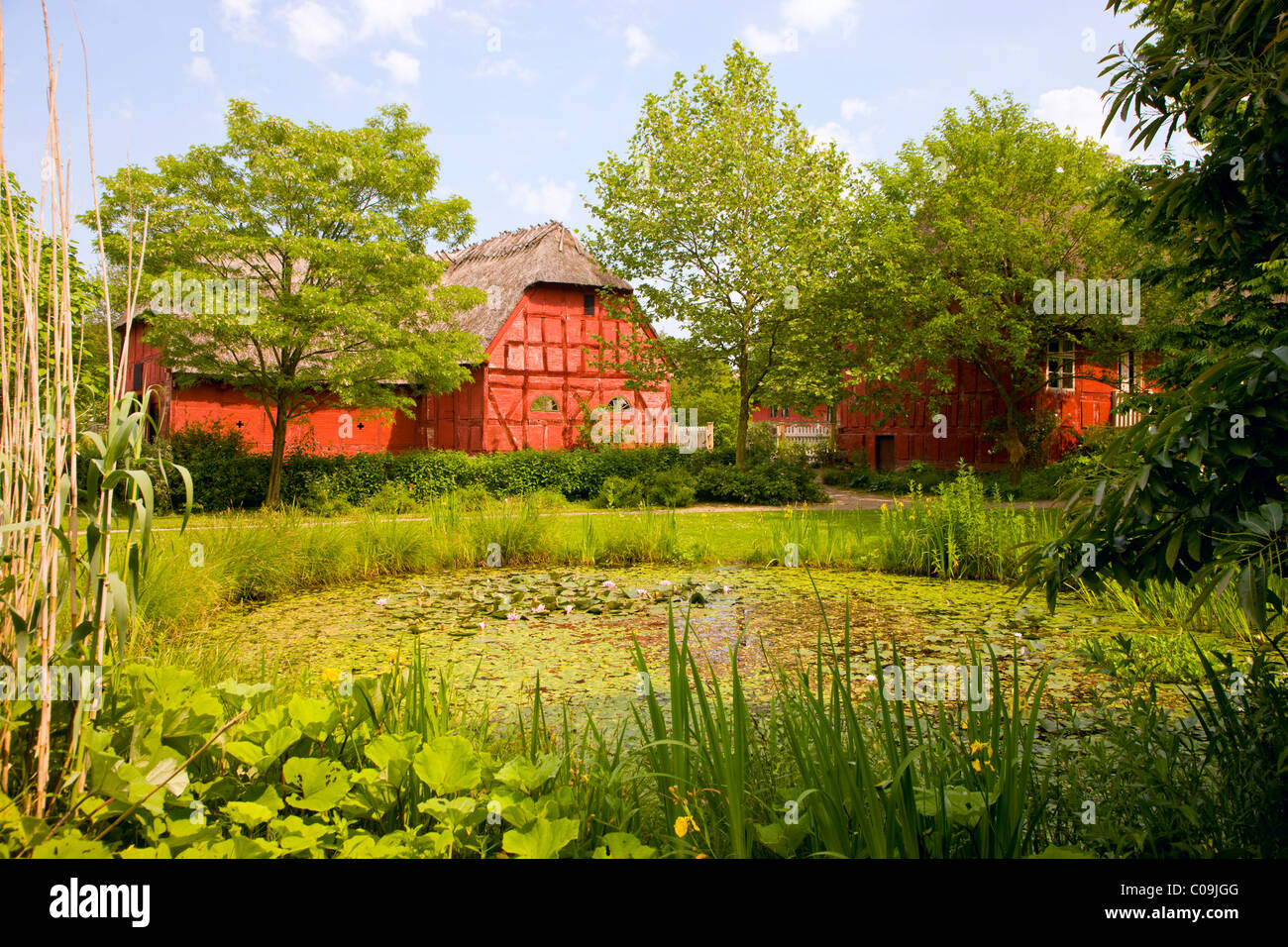 Old red farm at village pond, the Funen Village open air museum, Odense