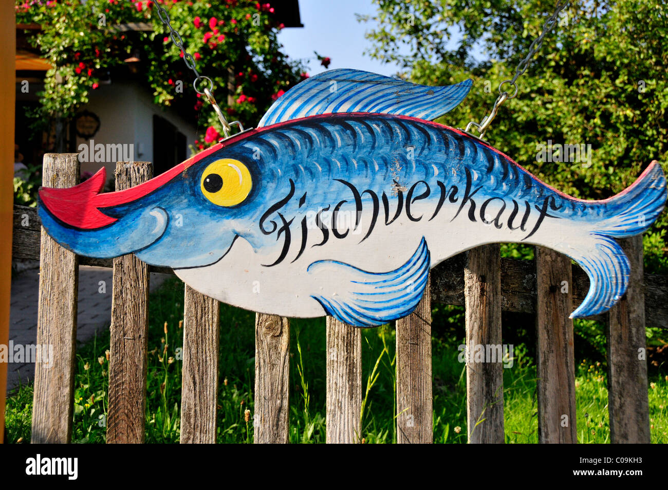 Sign, Fischverkauf, German for fish for sale, at a fish restaurant on Fraueninsel, Women's Island, Lake Chiemsee, Chiemgau Stock Photo