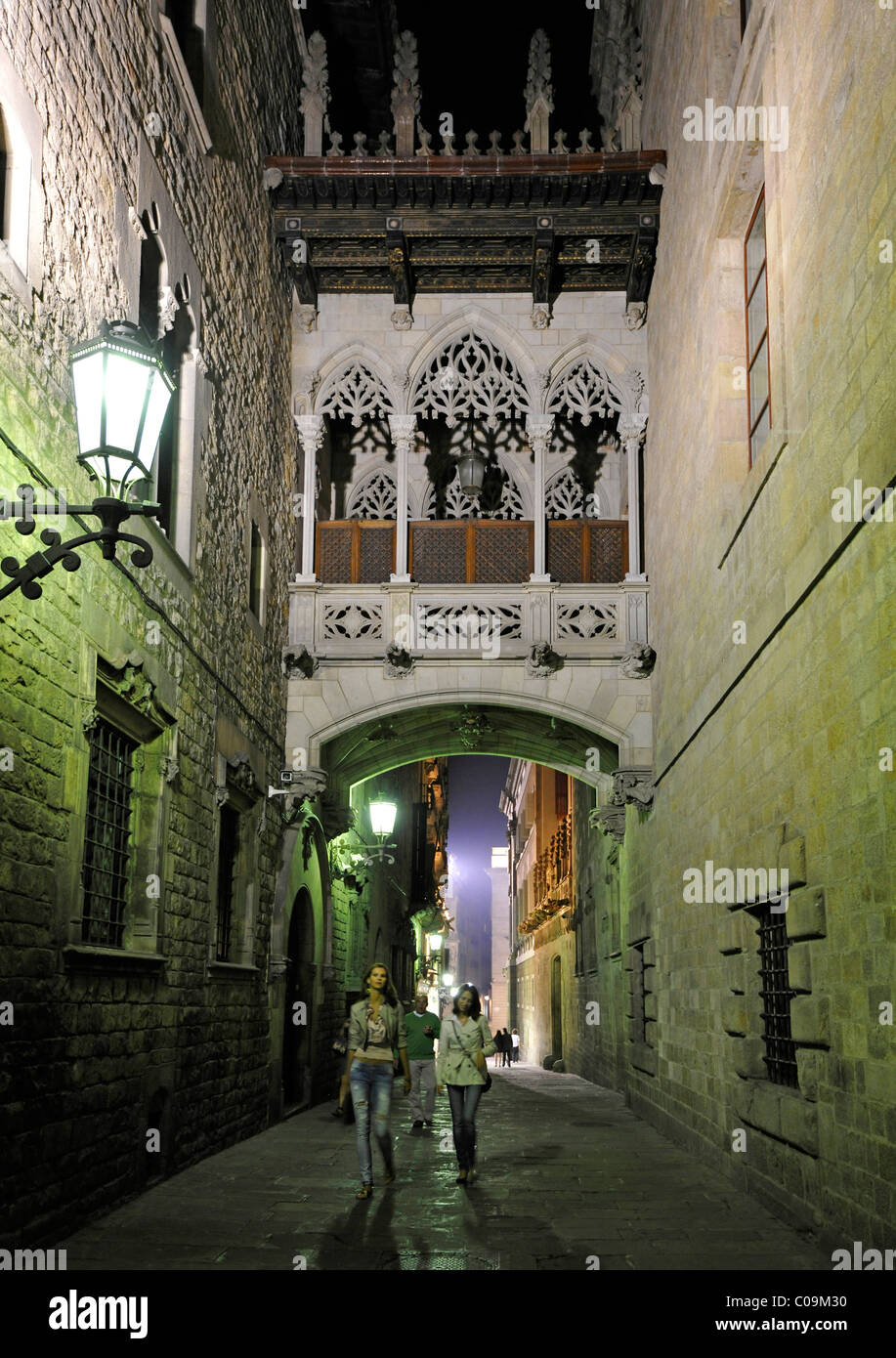 Night shot, Barcelona's Bridge of Sighs, side facade of the Carrer del Bisbe, Gothic cathedral of La Catedral de la Santa Creu i Stock Photo