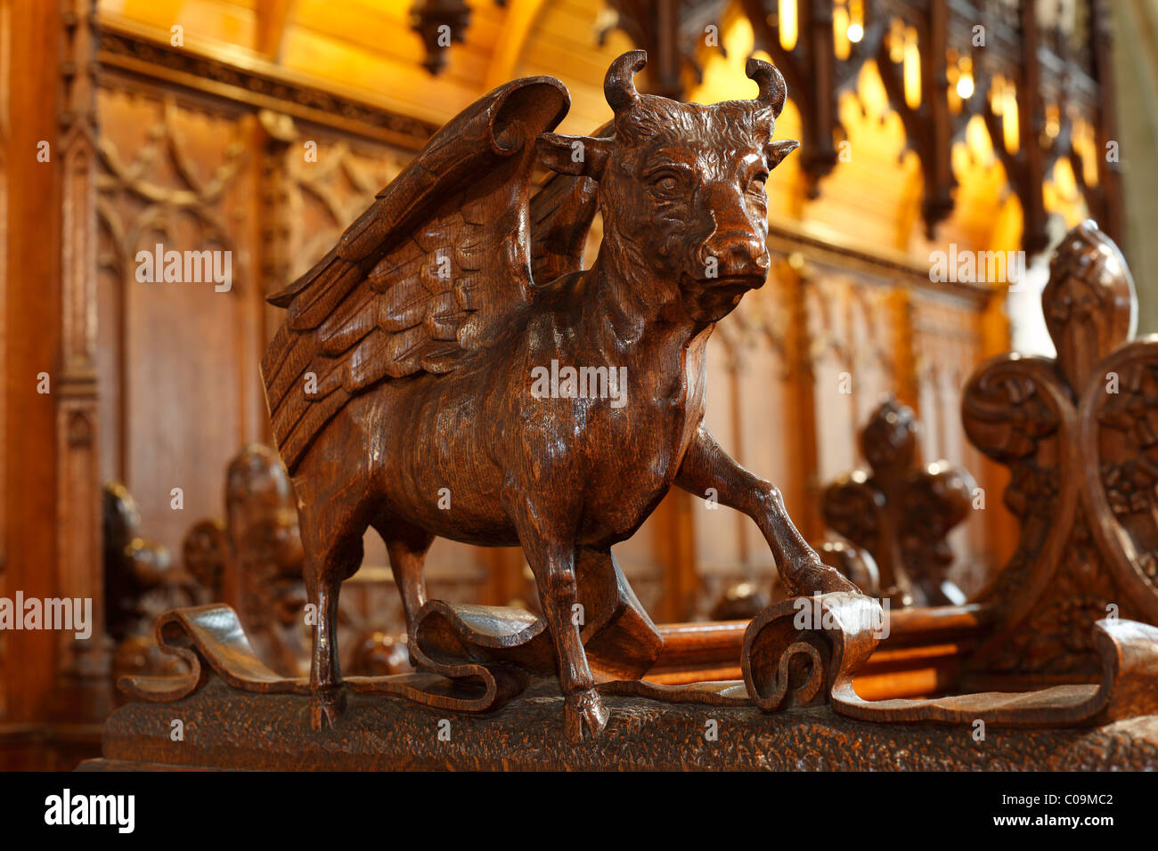 Winged bull carved from oak, choir stalls, St. Cainnech Cathedral or St. Canice's Cathedral, Kilkenny, County Kilkenny, Ireland Stock Photo