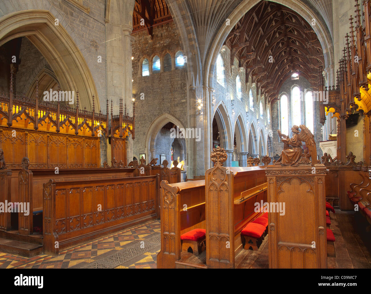 Choir stalls made of oak, St. Cainnech Cathedral or St. Canice's Cathedral, Kilkenny, County Kilkenny, Ireland, British Isles Stock Photo