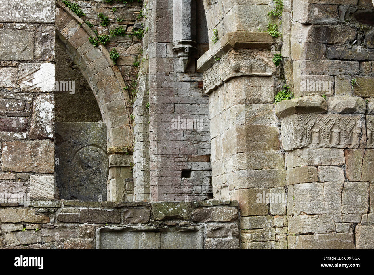 Detail of walls, Jerpoint Abbey, County Kilkenny, Republic of Ireland, British Isles, Europe Stock Photo
