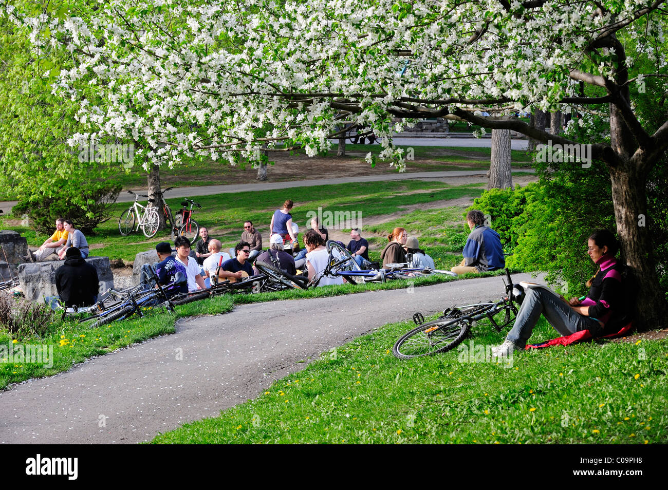 People enjoying a balmy spring evening in the Parc La Fontaine park, Montreal, Quebec, Canada