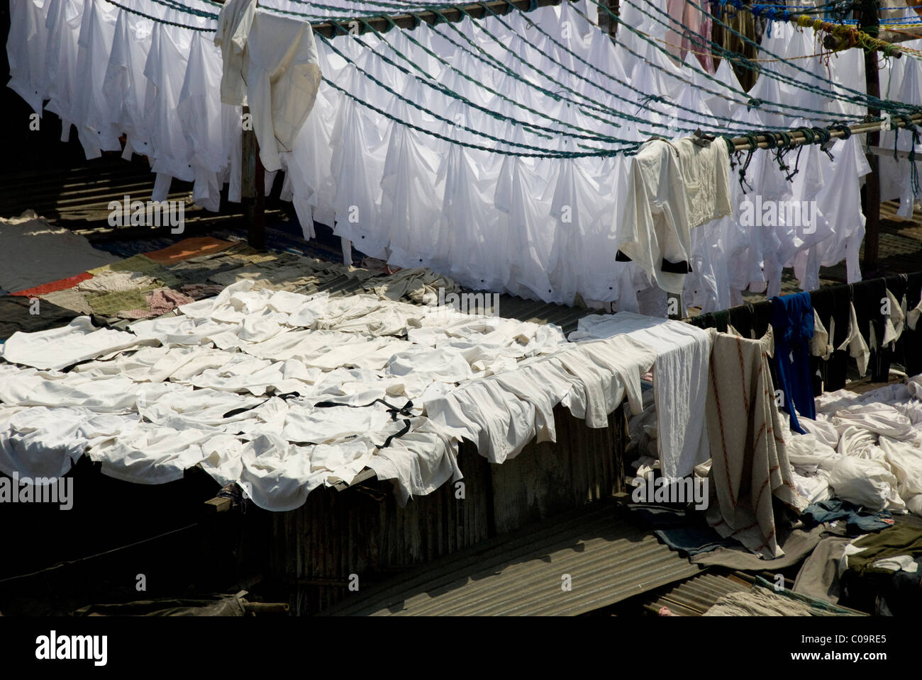 India, Maharashtra, Mumbai (aka Bombay). Famous Dhobi Ghat laundry