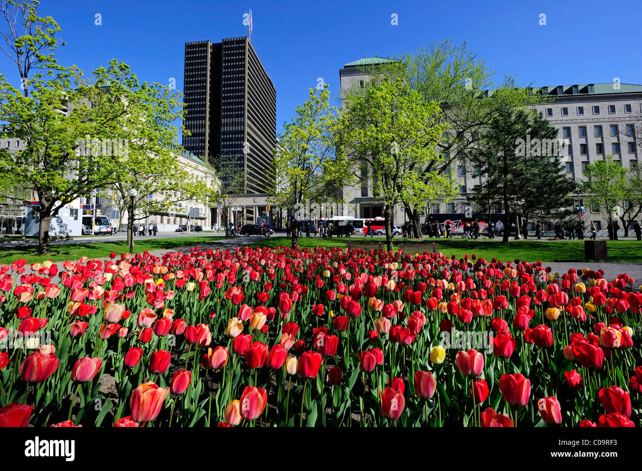 Capital city of canada hi-res stock photography and images - Alamy