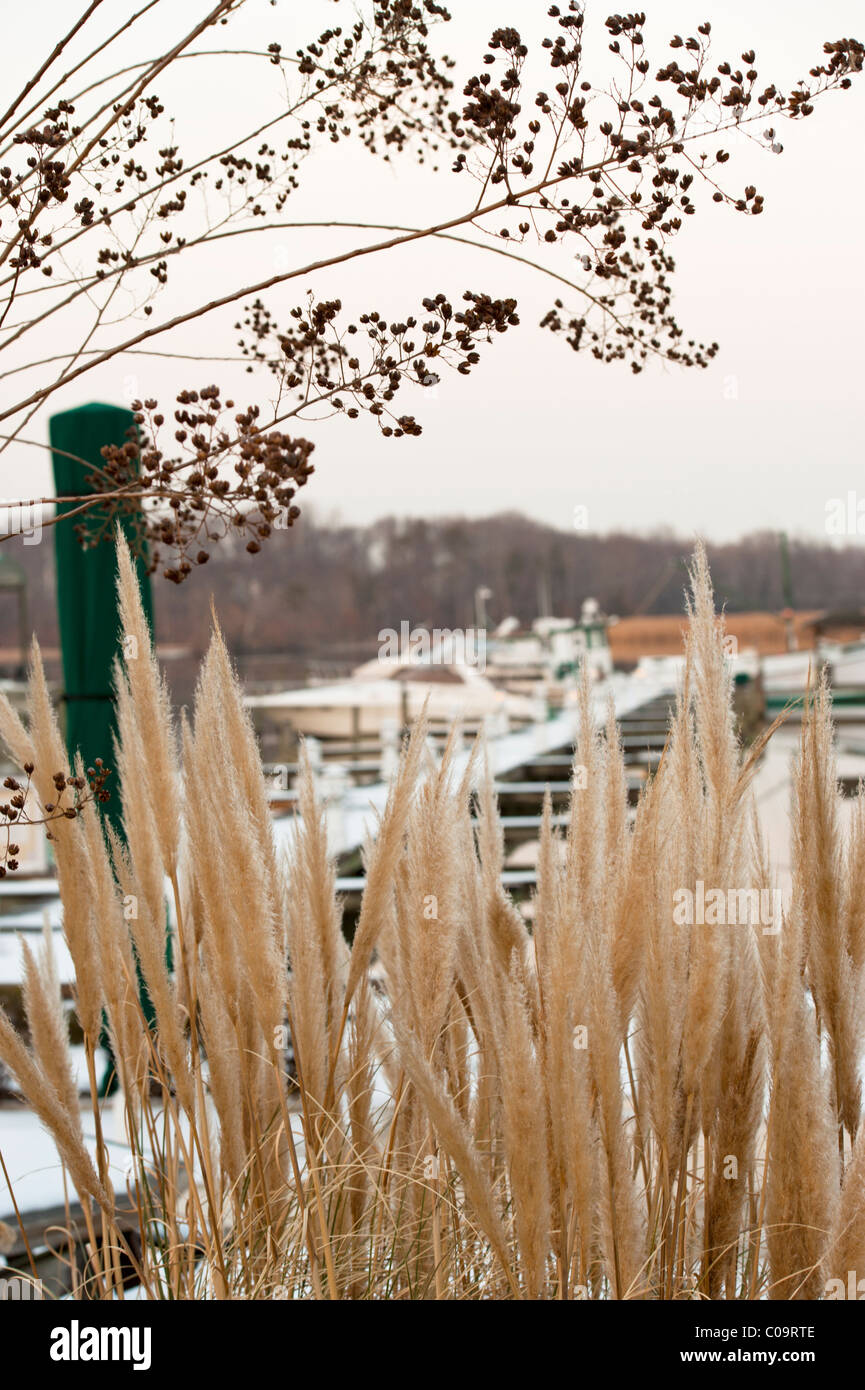 A serene winter landscape of a quiet marina on the Potomac River in Virginia. USA Stock Photo