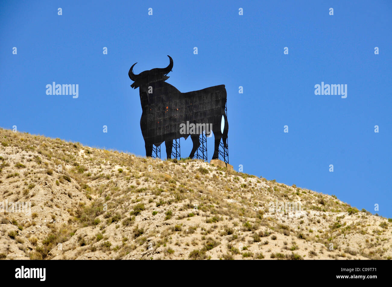 Osborne bull on a rock near Calahorra, Navarra, Spain, Iberian Peninsula, Europe Stock Photo
