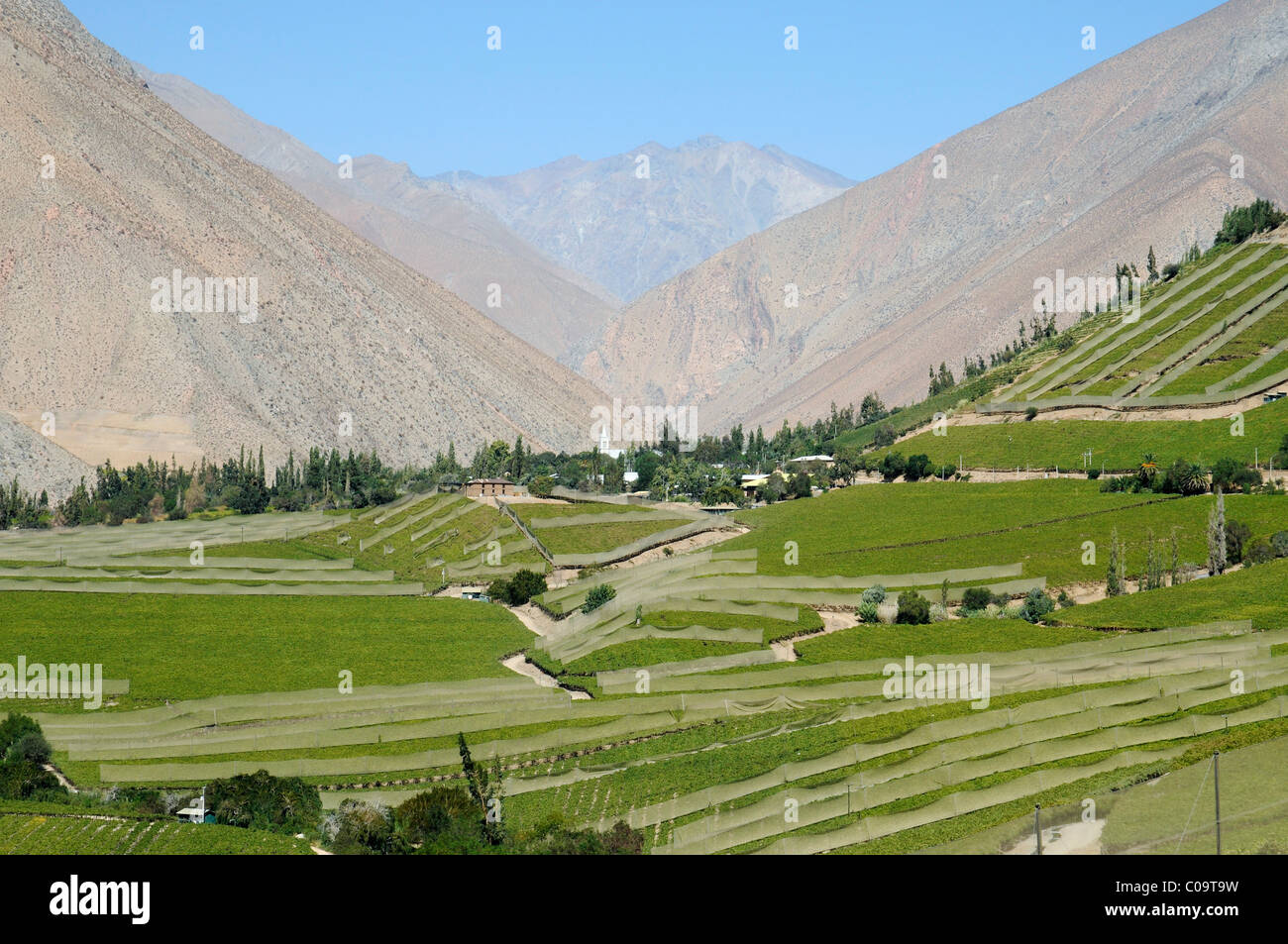 Landscape, vineyards, farming, fertile valley, desert mountains Stock Photo 34637397 Alamy