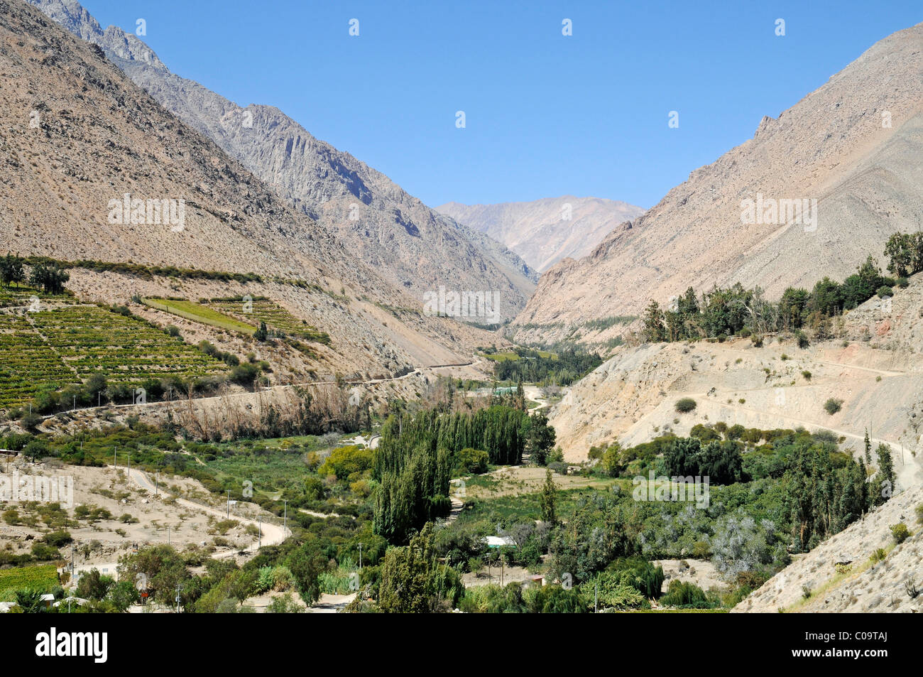 Landscape, vineyards, farming, fertile valley, desert mountains, Monte