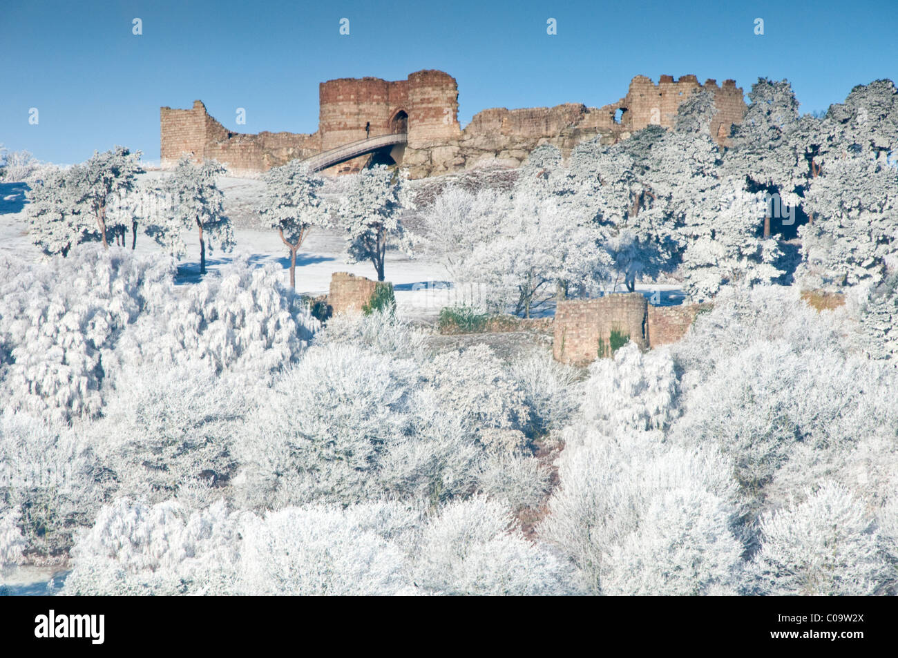 Weather and uk and frost hi-res stock photography and images - Alamy