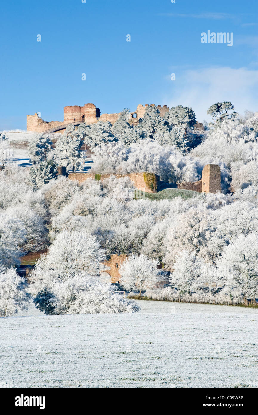 Hoar Frosted Trees & 13th Century Beeston Castle in Winter, Beeston, Cheshire, England, UK Stock Photo