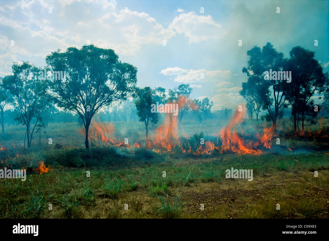 Bushfire, Western Australia, Australia Stock Photo