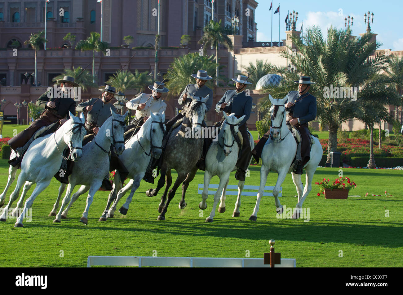 andalusian horses show in emirates palace hotel, abu dhabi, uae Stock