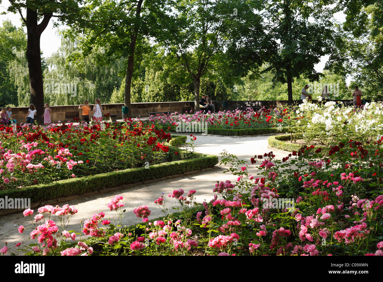 Rose garden, Great Bastion, castle garden, Kaiserburg Castle, Nuremberg, Middle Franconia, Franconia, Bavaria, Germany, Europe Stock Photo