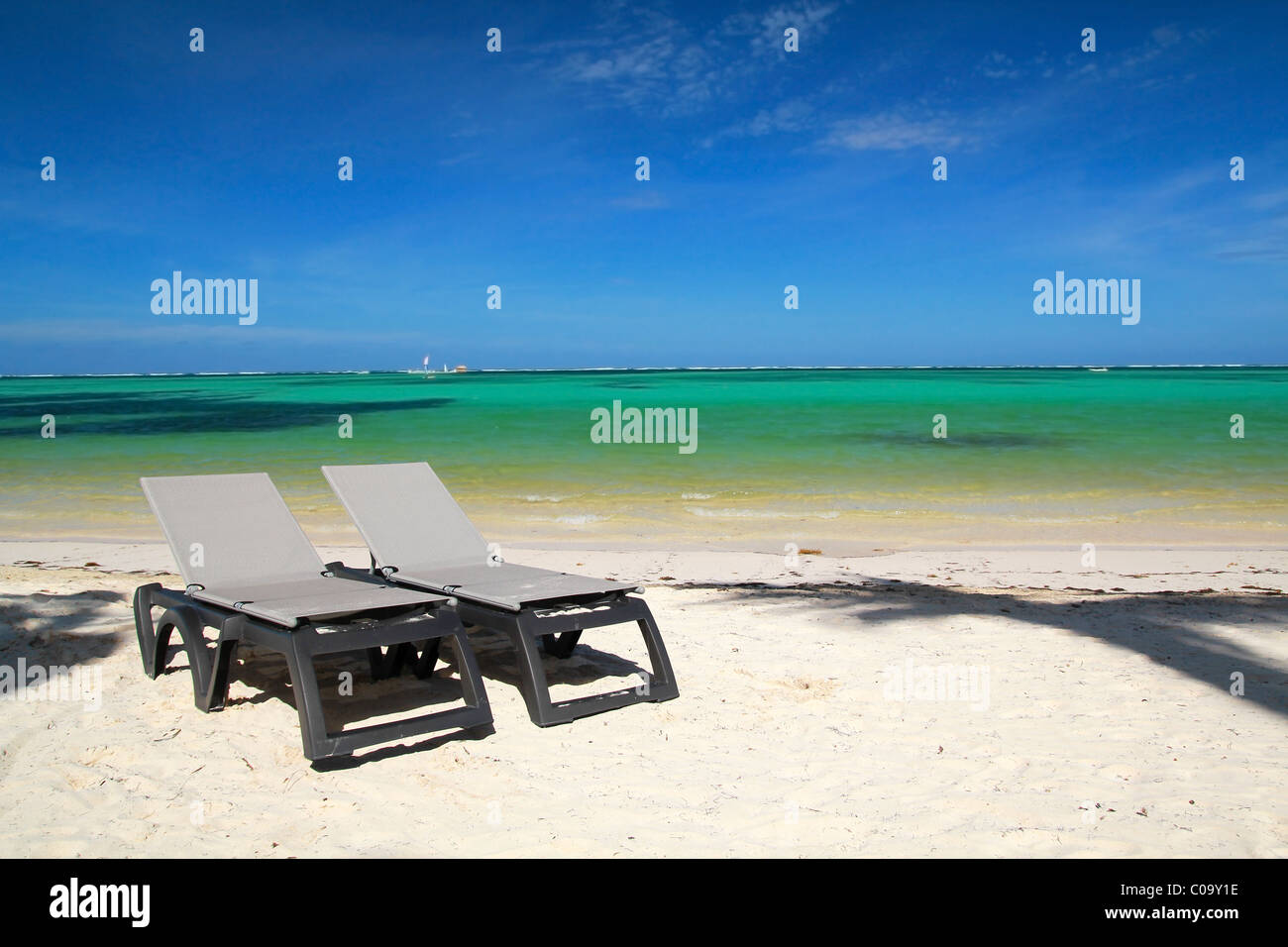 Chaise longues on tropical beach Stock Photo Alamy