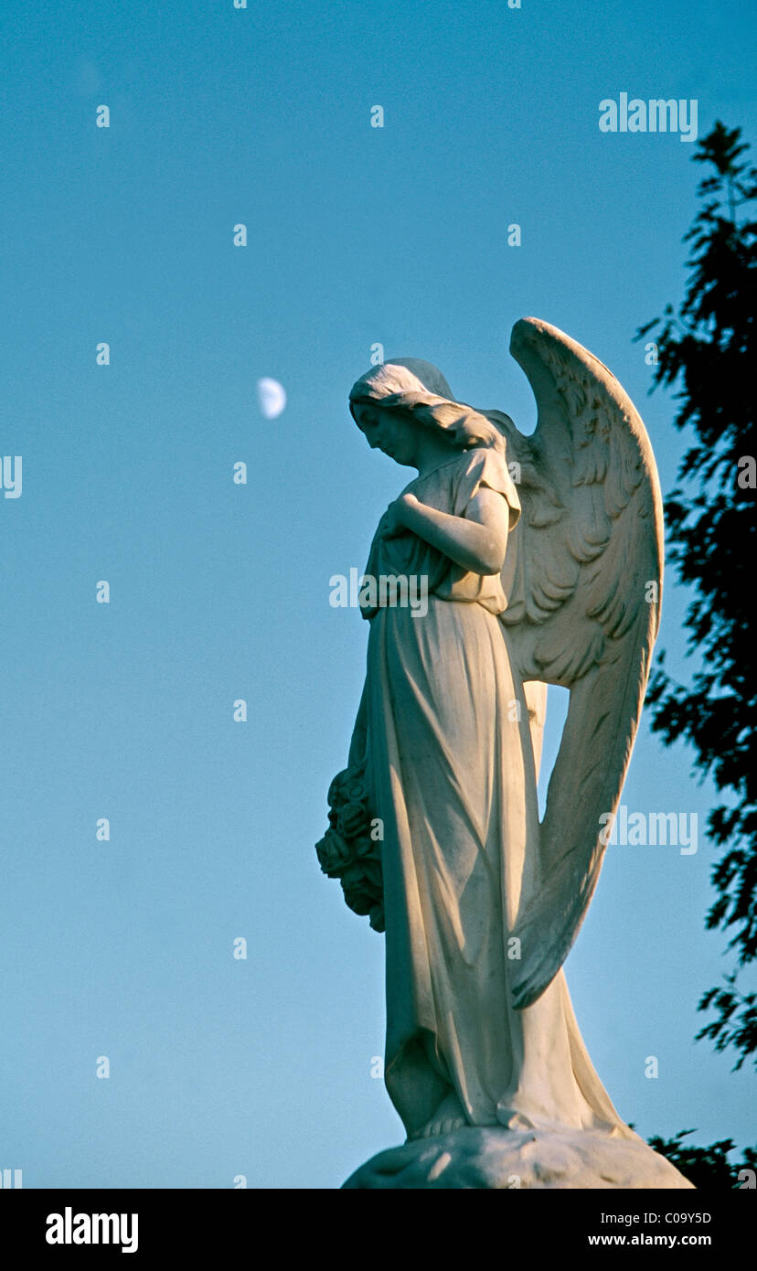 絵画。原画【A bear angel holds the moon】 il_340x270.1404223755_6gnf.jpg