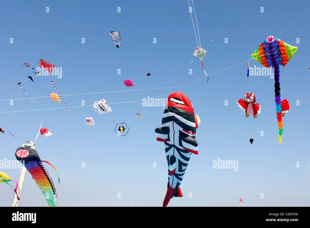 Kite festival, Gujarat, india Stock Photo Alamy