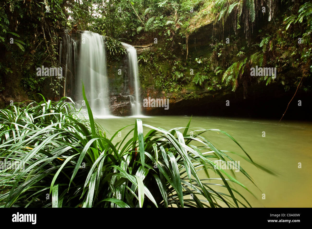 A waterfall located in a tropical jungle on the island of Borneo Stock Photo