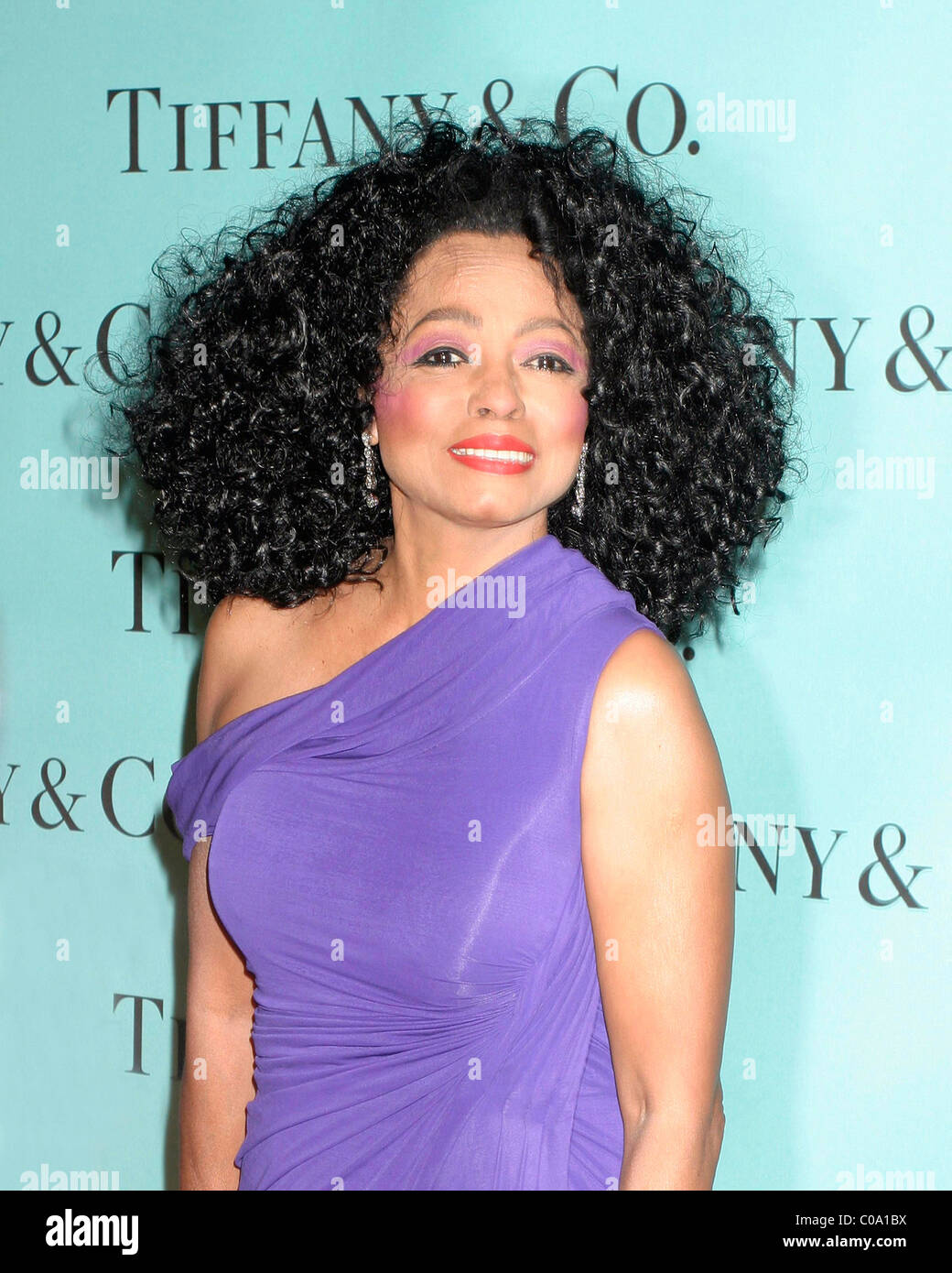 Diana Ross Tiffany & Company Launches 2008 Blue Book Collection, with a  Special Performance by Diana Ross - Arrivals at the Stock Photo - Alamy