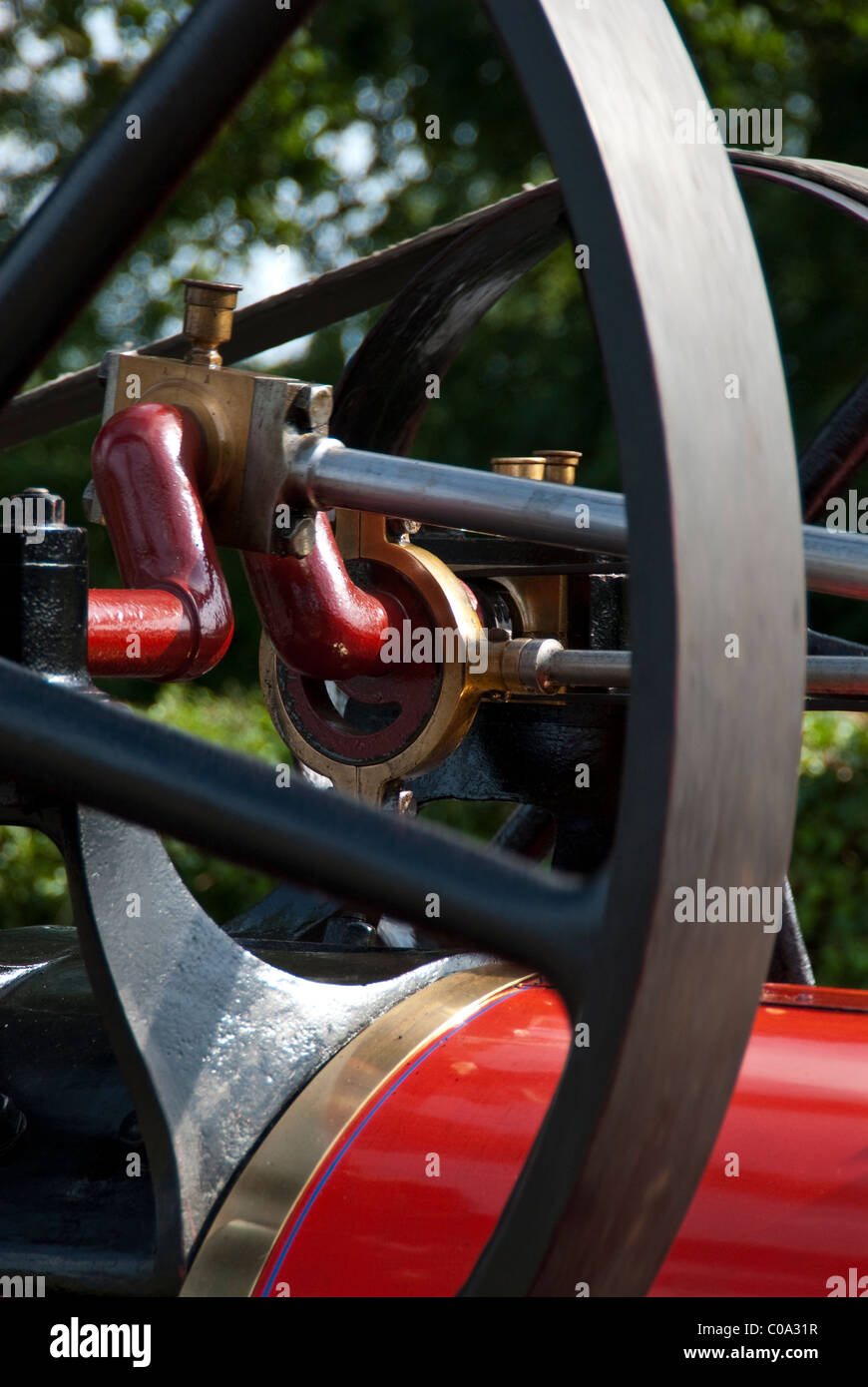 Pulleys, pistons and belts on vintage steam traction engine Stock Photo