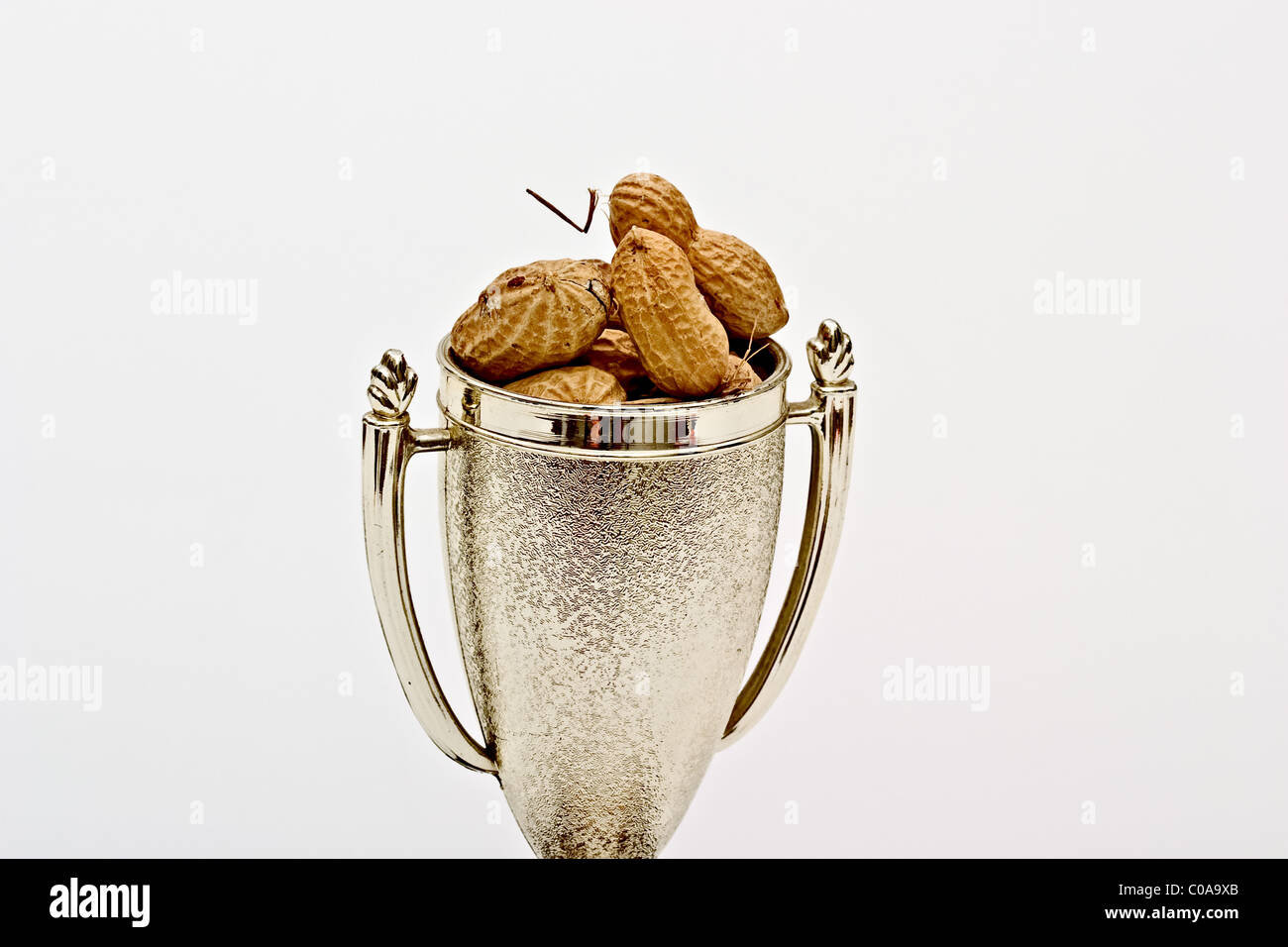 A trophy cup filled with peanuts in shells Stock Photo