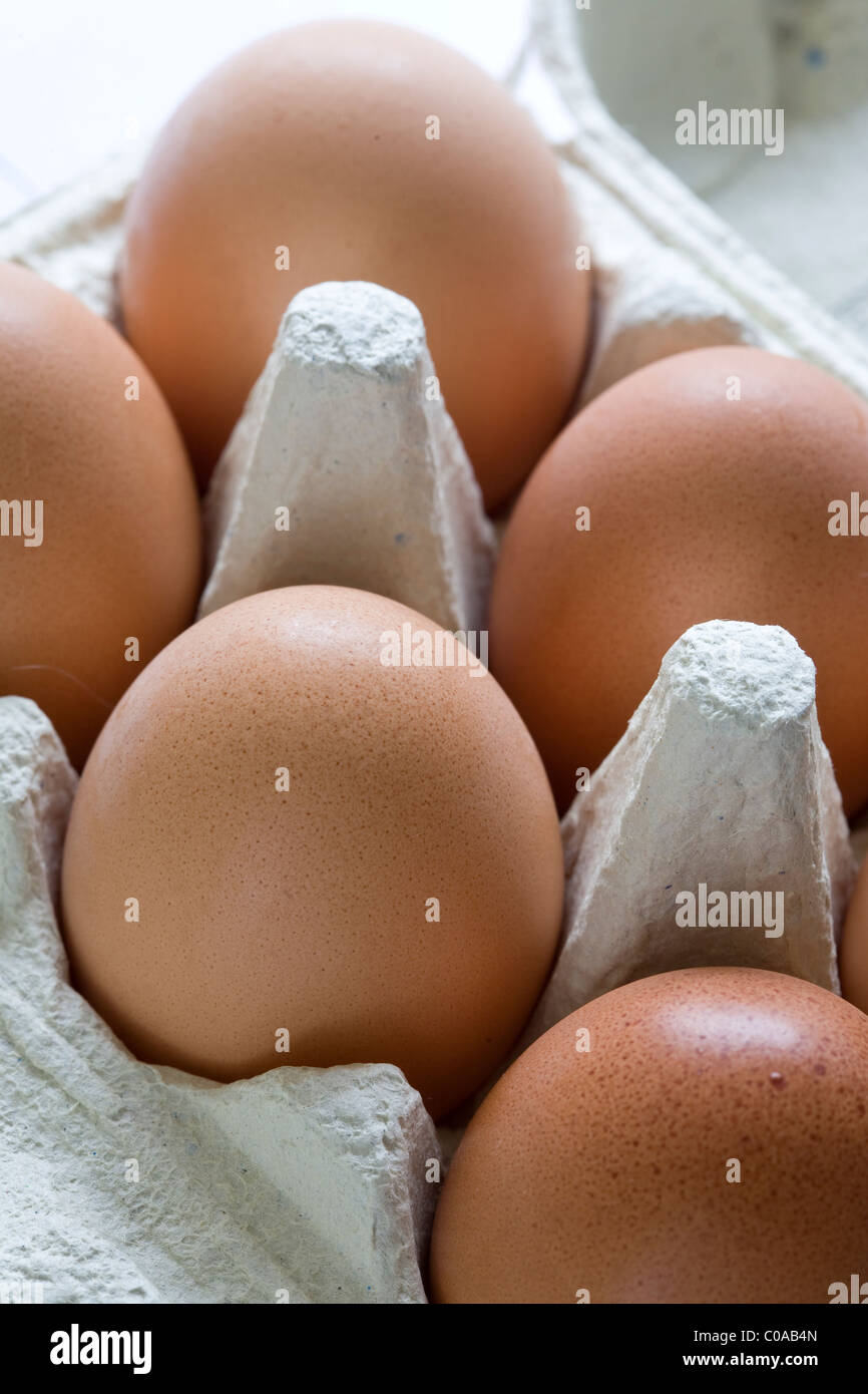 free range fresh eggs packaged in a carton against a white background Stock Photo